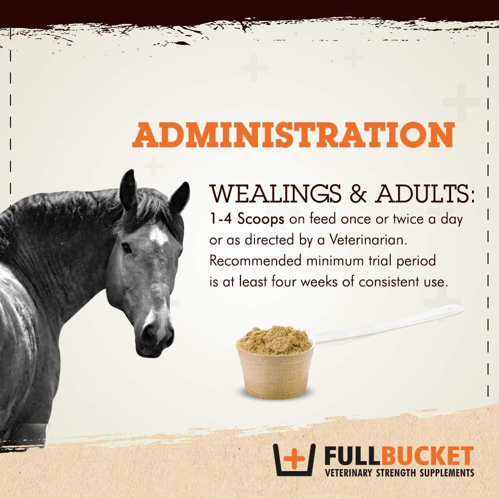 Concentrated Equine Probiotic Granules with Saccharomyces boulardii - 30 Servings, 25 Billion CFUs