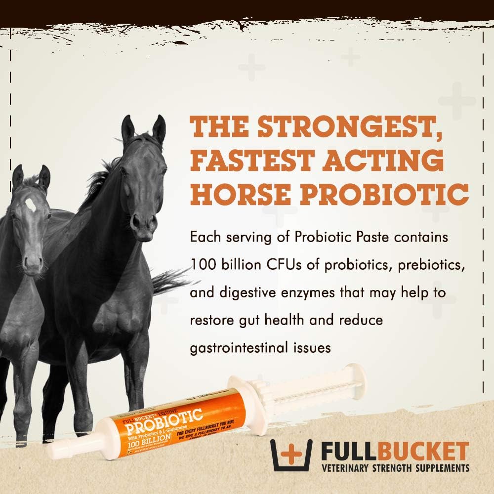 Concentrated Equine Probiotic Paste with 100 Billion CFUs for Daily Digestive Optimization, 1 Tube