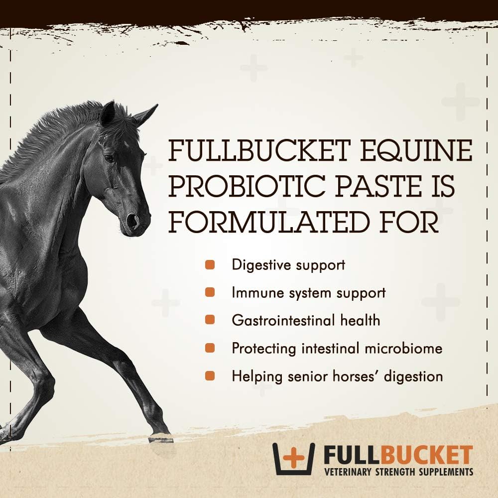 Concentrated Equine Probiotic Paste with 100 Billion CFUs for Daily Digestive Optimization, 1 Tube
