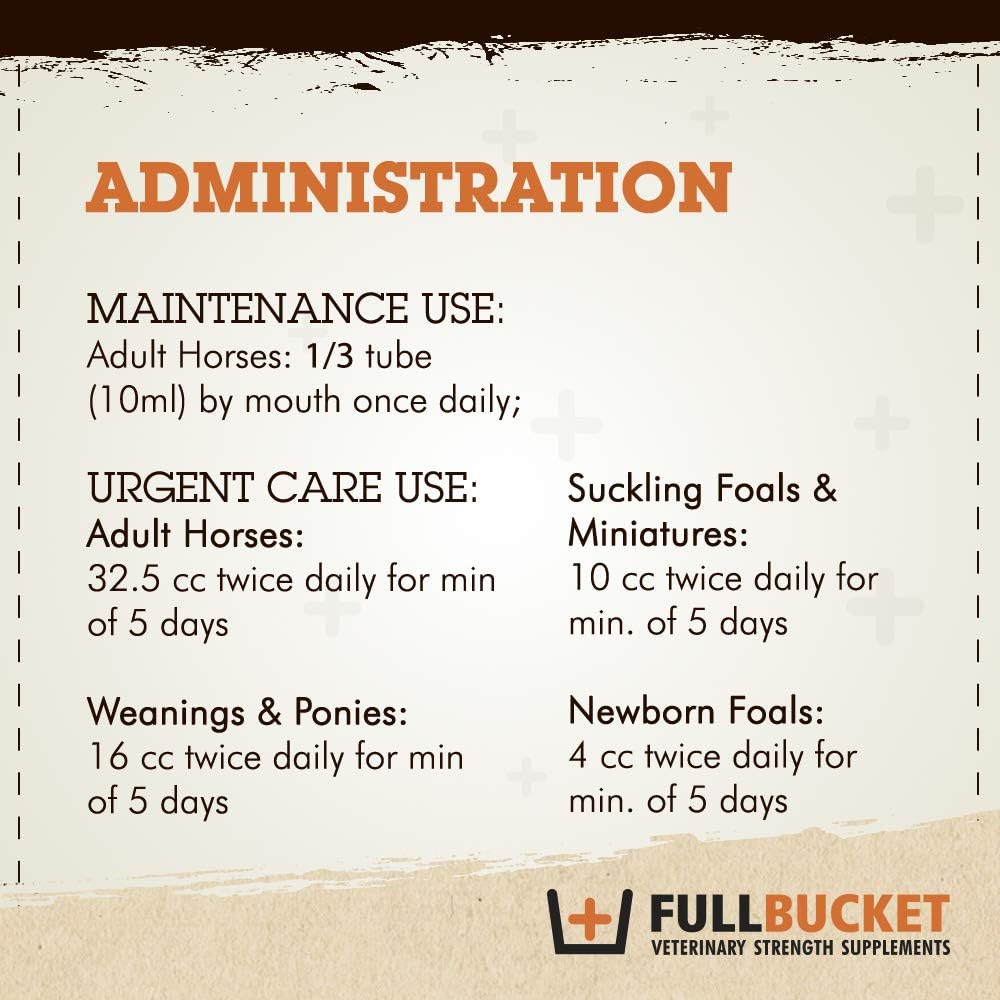 Concentrated Equine Probiotic Paste with 100 Billion CFUs for Daily Digestive Optimization, 1 Tube