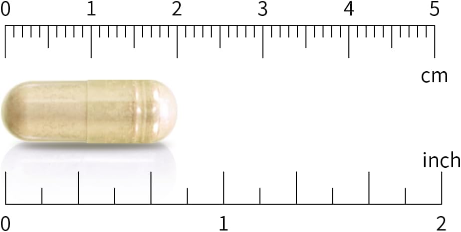 Concentrated Noni Capsules - CBI Natural 20:1 Extract, 500mg, 120 Count