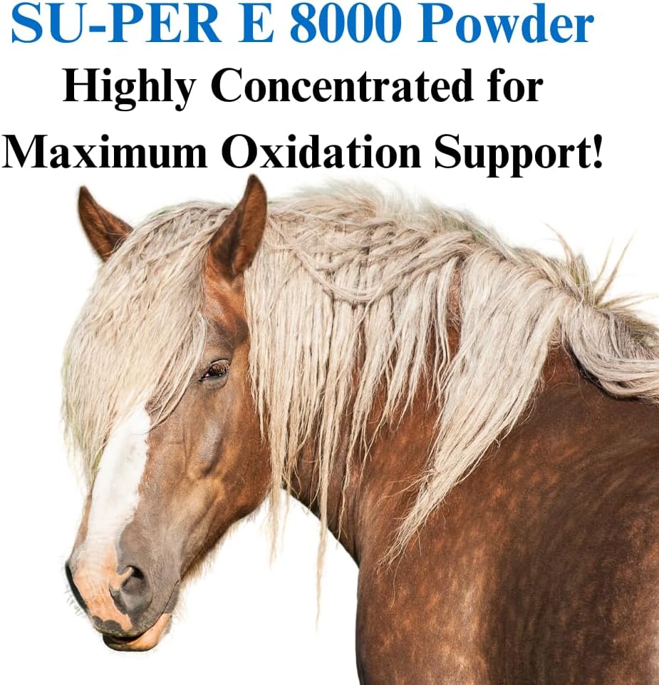Concentrated Vitamin E Supplement for Performance Horses - SU-PER E 8000 Antioxidant - 4 Pounds (2 Pack)