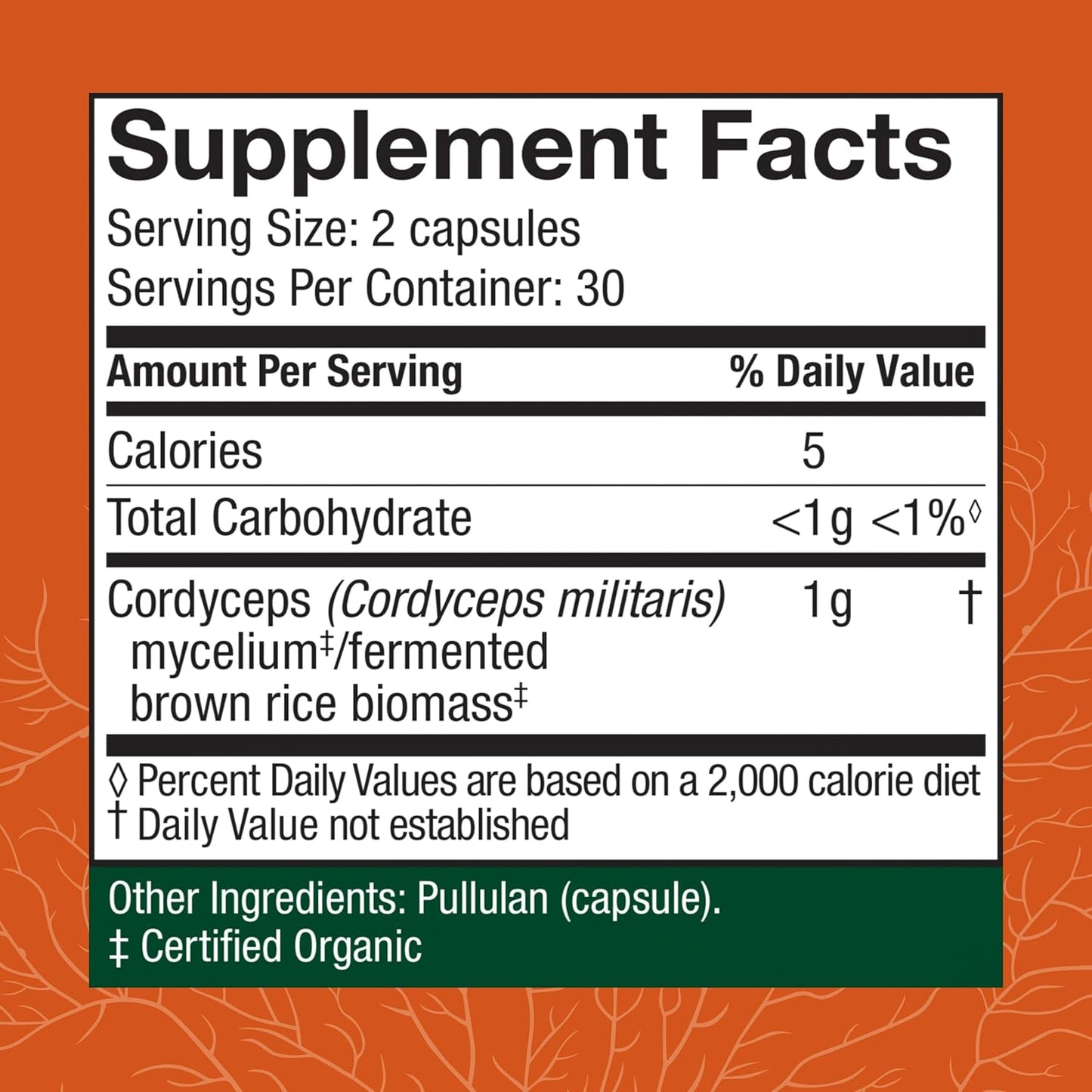 Cordyceps Capsules for Immune, Energy, and Kidney Health Support - Fitness Supplement for Oxygen Uptake - 60 Capsules