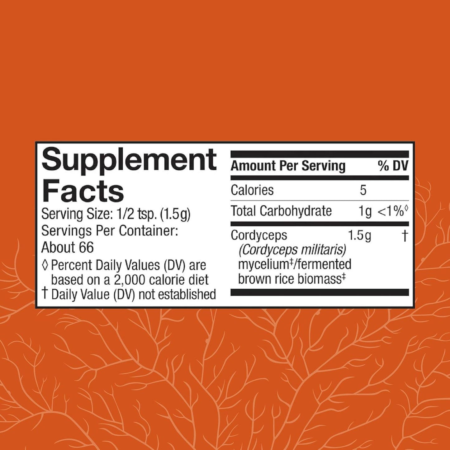 Cordyceps Powder for Immune & Energy Support - Kidney Health & Fitness Supplement - 3.5 oz (66 Servings)