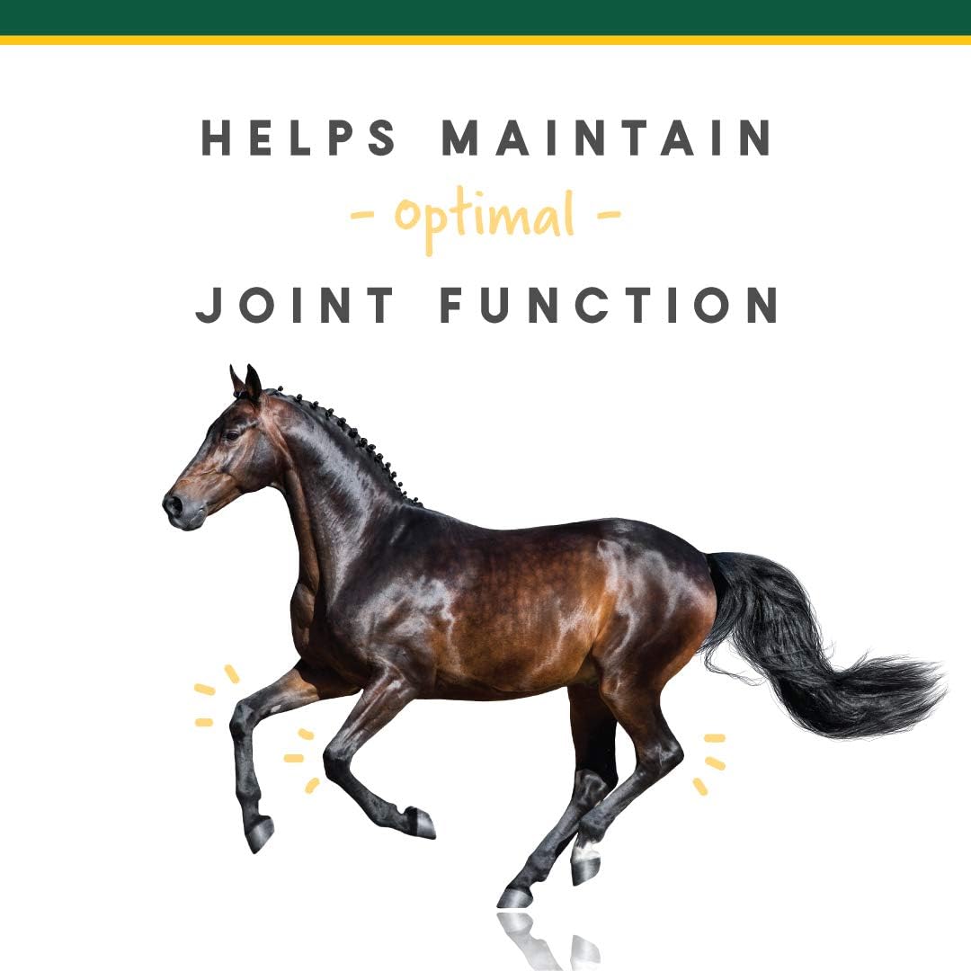 Corta-FLX Equine Joint Supplement for Healthy Joints - 12 LB Pellet with Vitamins & Minerals
