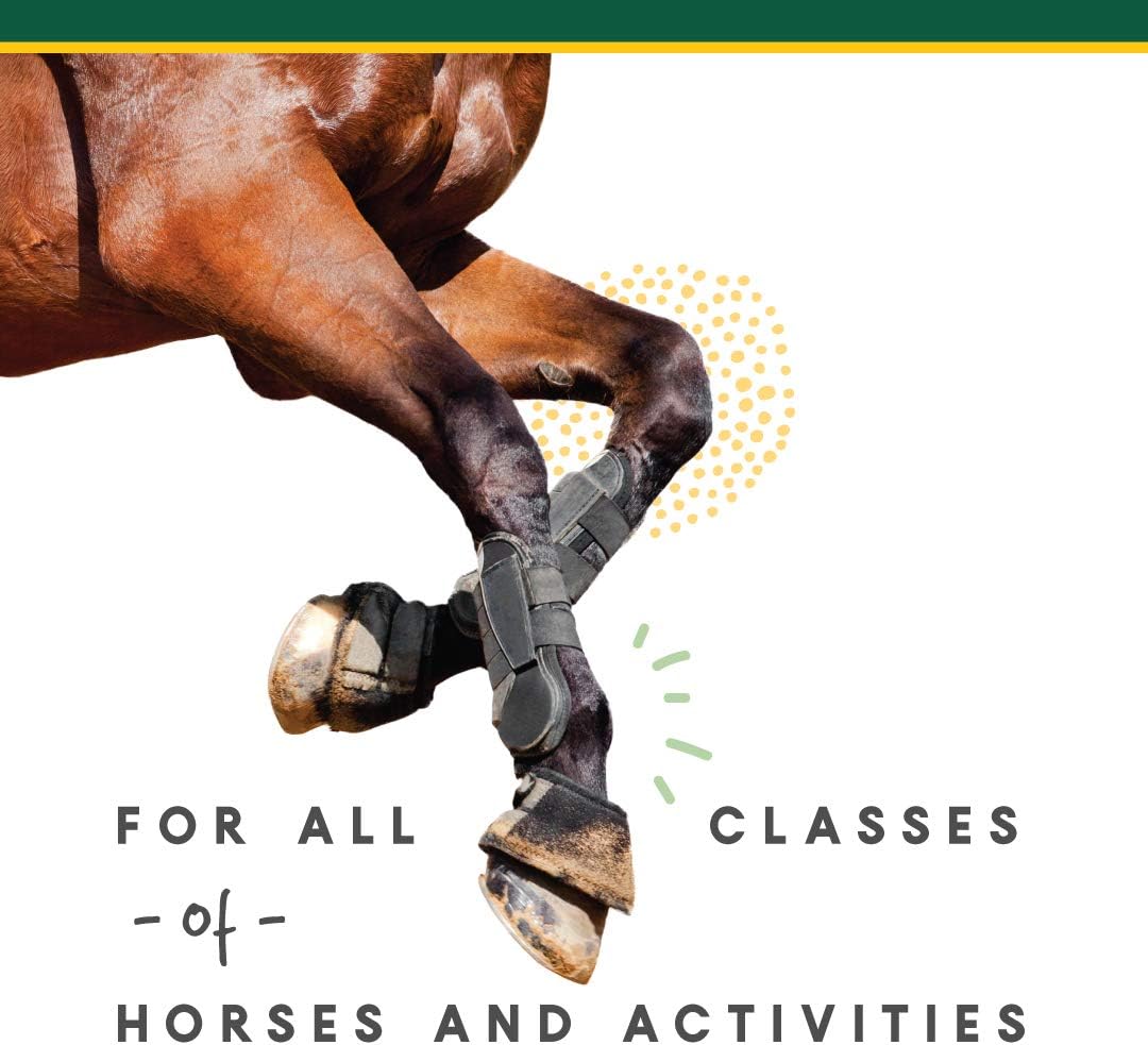 Corta-FLX Equine Joint Supplement for Healthy Joints - 12 LB Pellet with Vitamins & Minerals