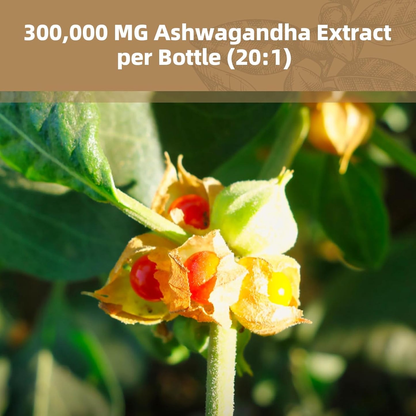 Cortisol Reducer Supplement with Magnesium Glycinate, Ashwagandha, Rhodiola Rosea, L-Theanine - 120 Capsules for Relaxation and Stress Relief