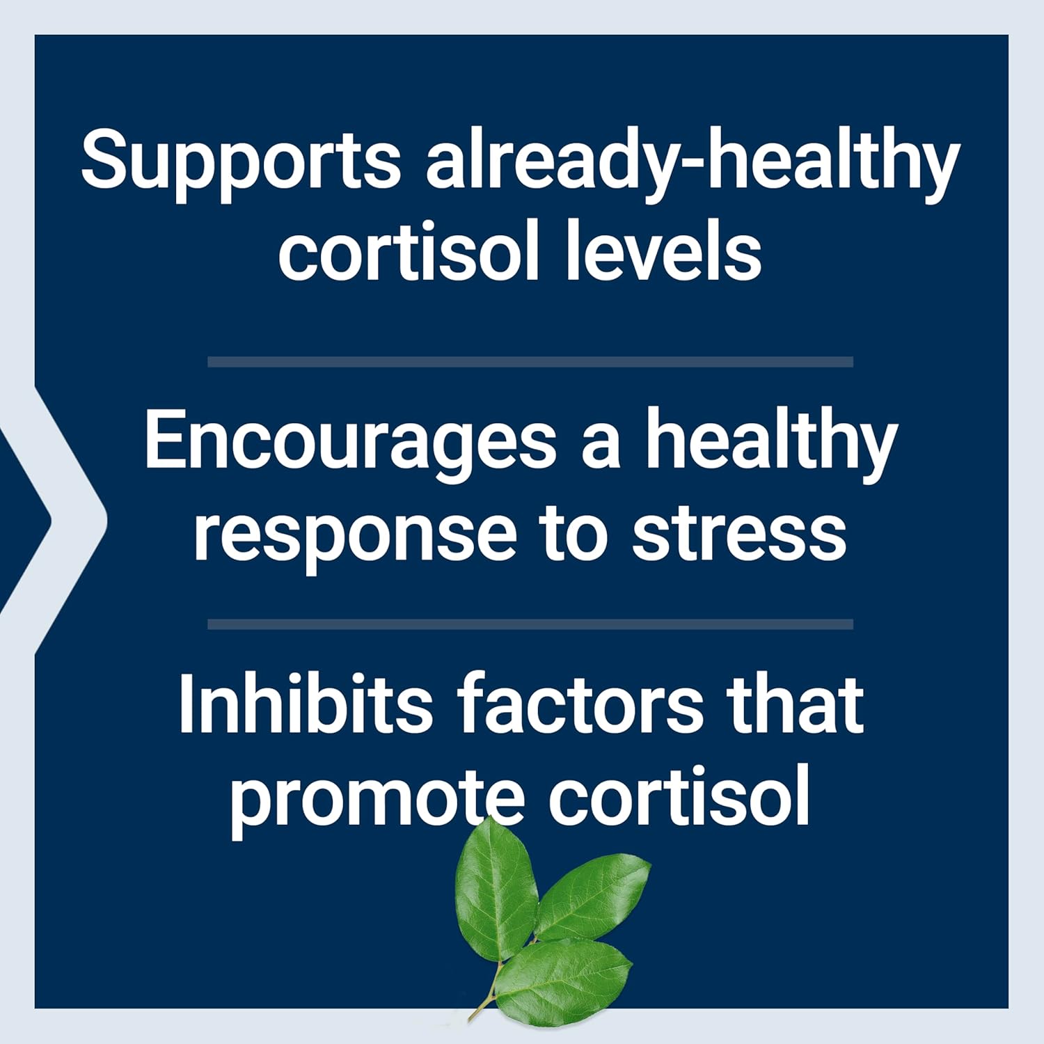 Cortisol-Stress Balance Supplement with Relora, Magnolia Bark, Green Tea, Lychee Extract - Manage Stress and Maintain Healthy Levels - Gluten Free, Non-GMO, Vegetarian - 30 Capsules