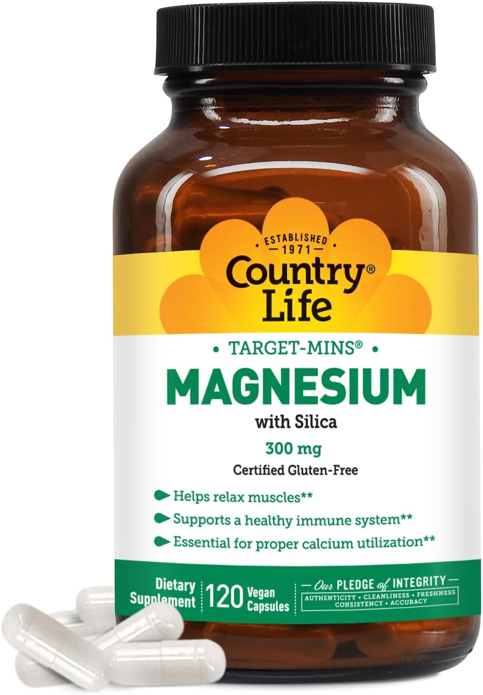 Country Life Target-Mins Magnesium with Silica 300 mg - 120 Vegan Capsules for Bone Health and Energy Support