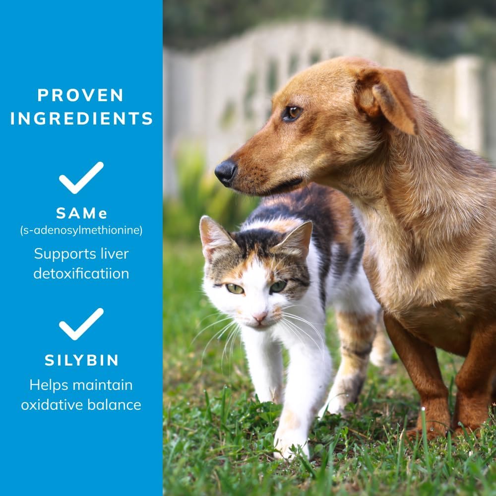 Covetrus Same Pro Liver Support 225mg Green Chewable Tablets for Medium Dogs 13-34 lb