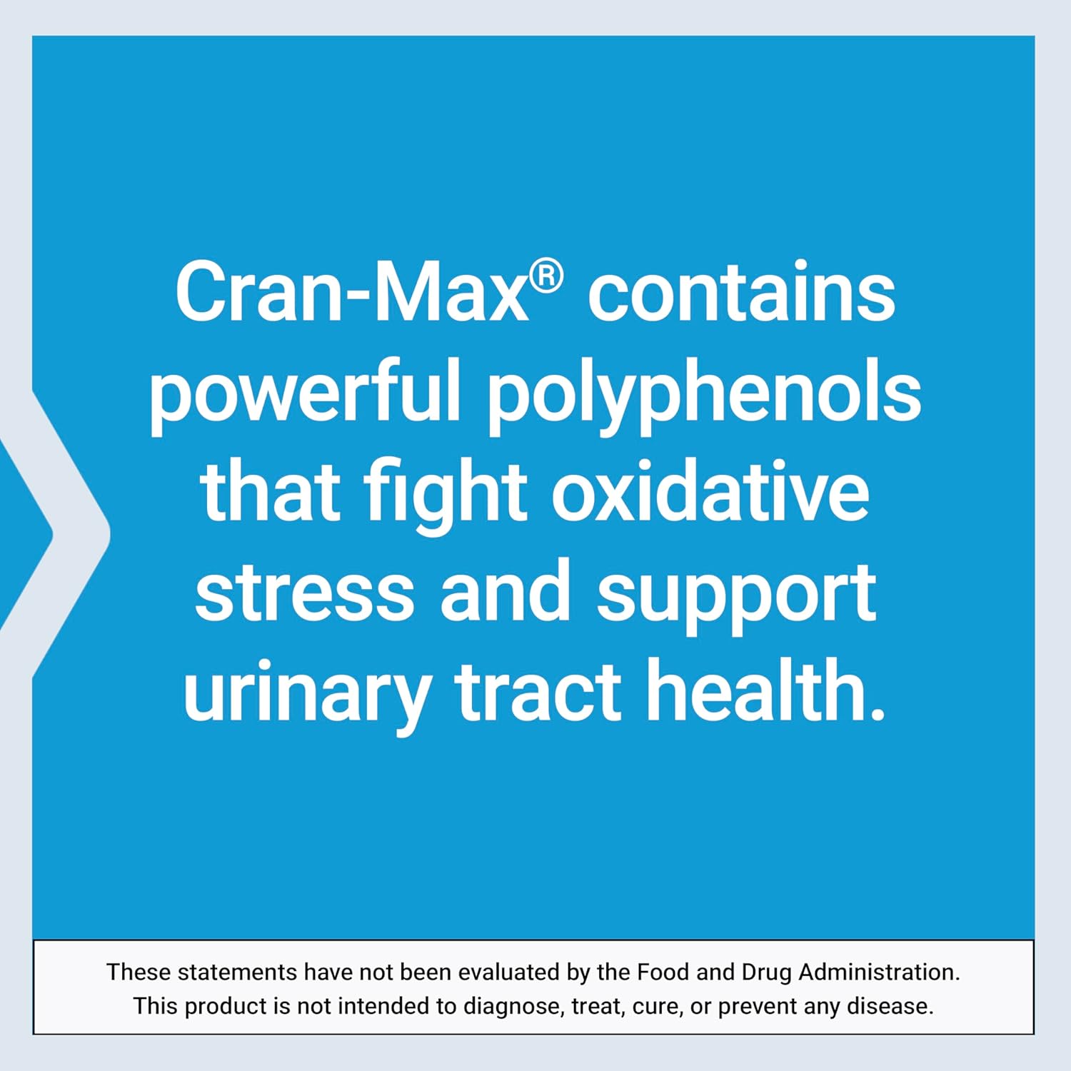 Cran-Max® Cranberry Whole Fruit Concentrate 500mg Capsules - Supports Urinary Tract Health, Antioxidant Rich, Gluten-Free, Vegetarian, Non-GMO - 60 Count