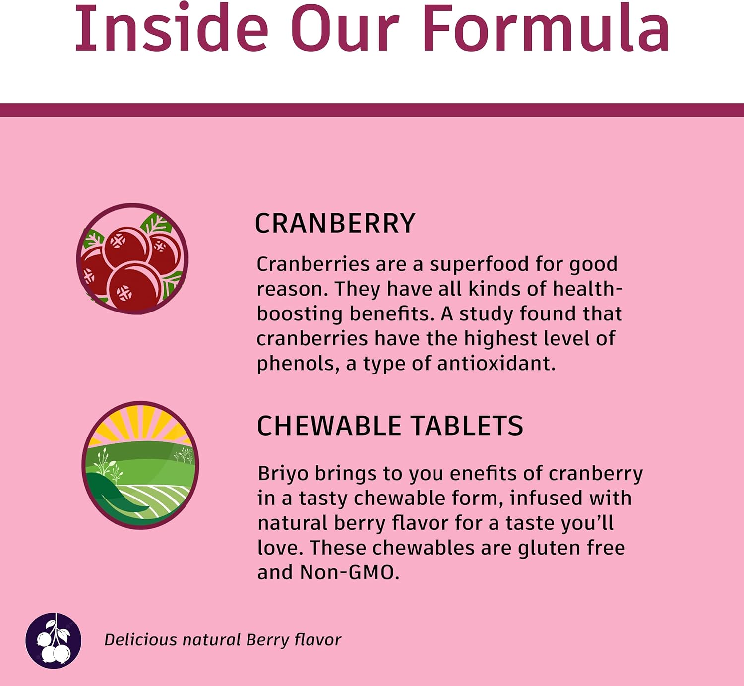 Cranberry Concentrate Chewable Tablets - Natural Berry Flavor, 90 Tablets, 2000 Mg Cranberry Fruit Equivalency