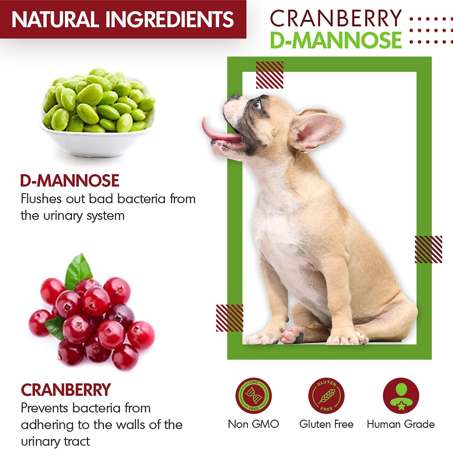 Cranberry D-Mannose Tablets for Cats and Dogs - UTI Prevention & Kidney Support - 120 Count