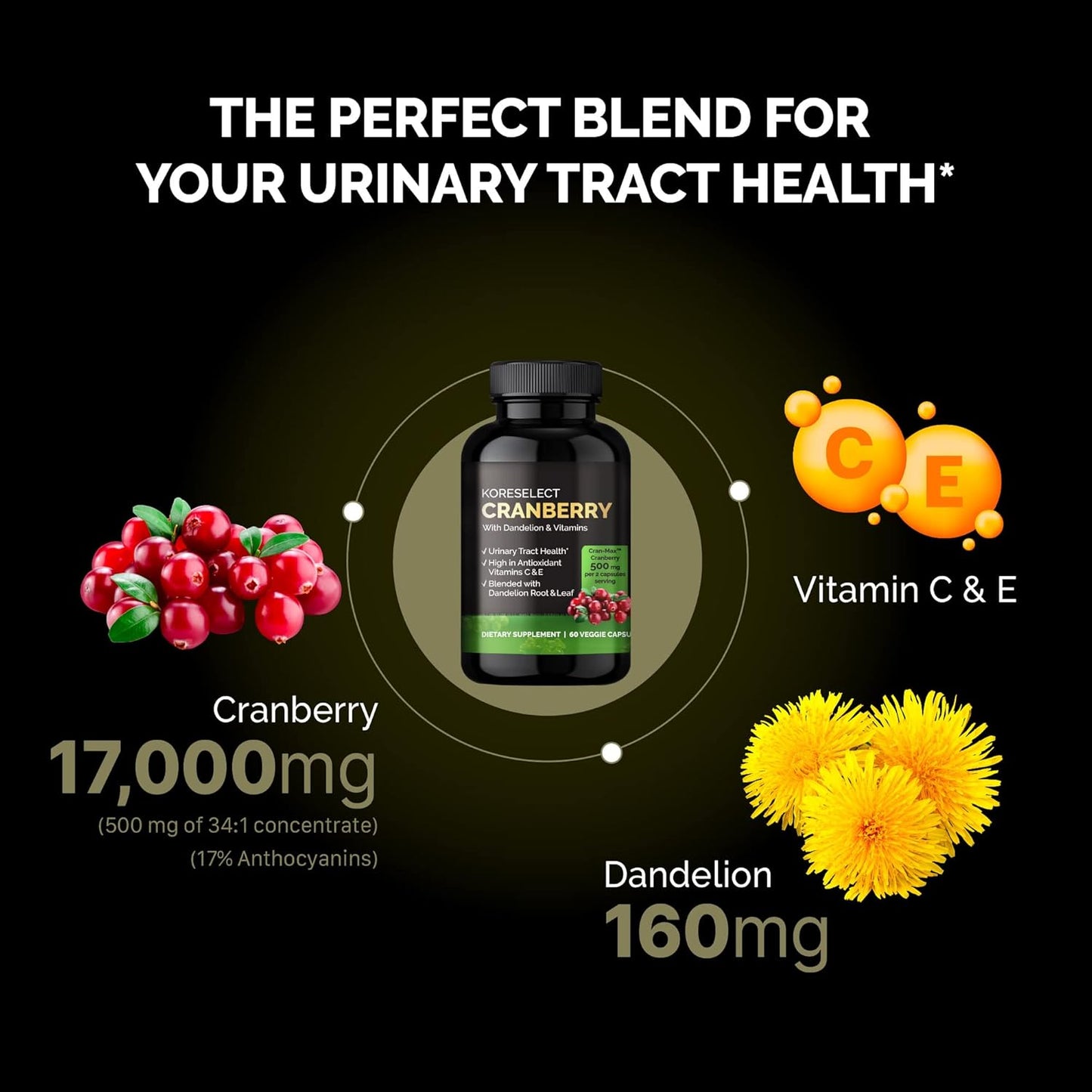 Cranberry & Dandelion UTI Relief Supplement with Vitamins - Immune & Bladder Support for Women & Men - 60 Capsules