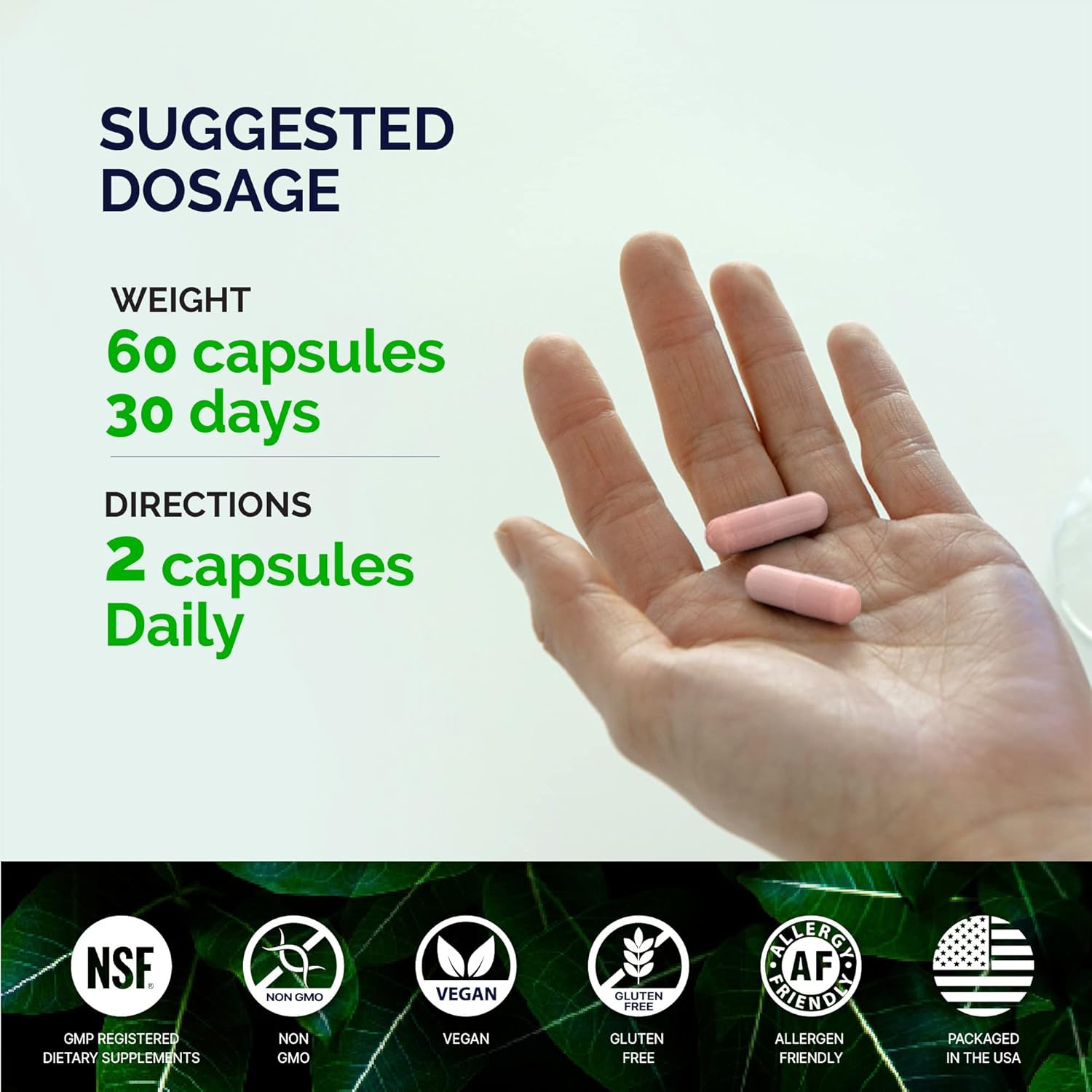 Cranberry & Dandelion UTI Relief Supplement with Vitamins - Immune & Bladder Support for Women & Men - 60 Capsules