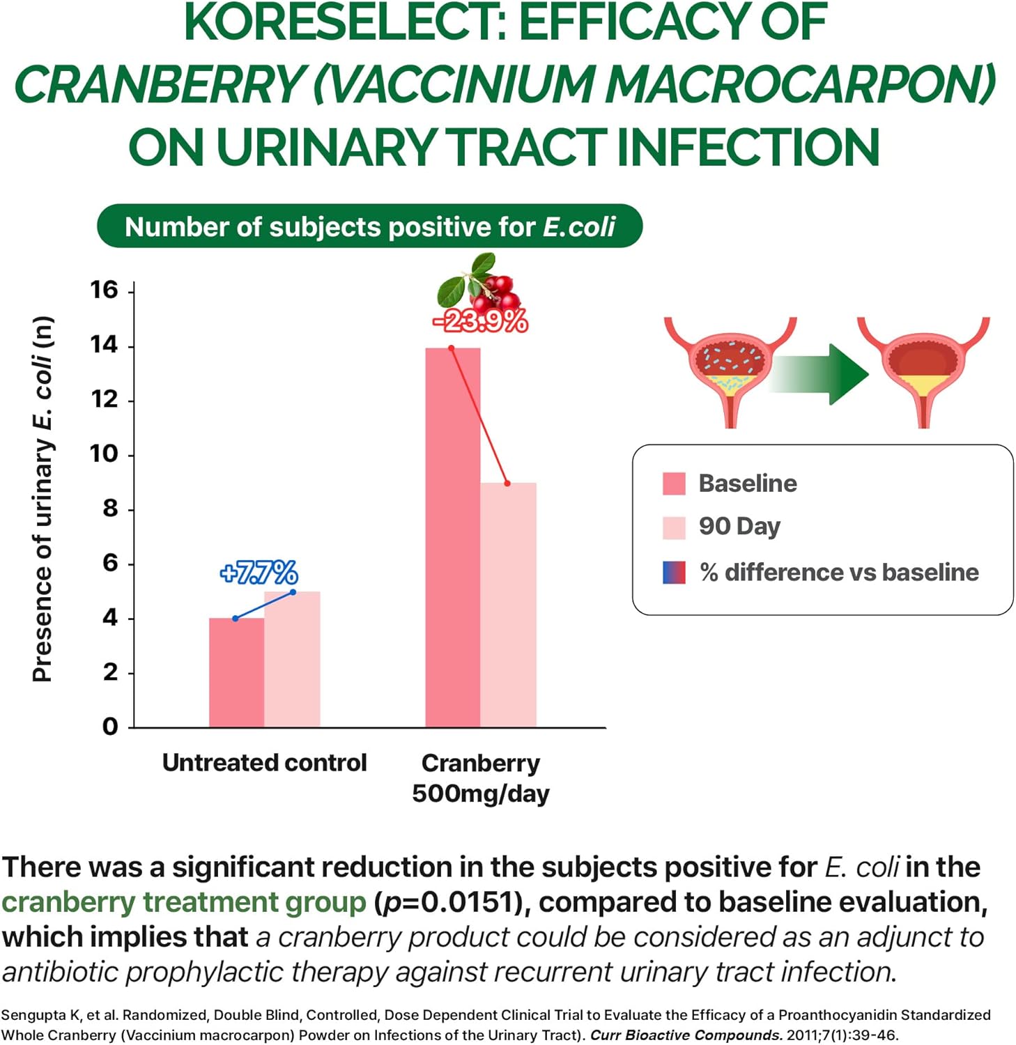Cranberry & Dandelion UTI Relief Supplement with Vitamins - Immune & Bladder Support for Women & Men - 60 Capsules