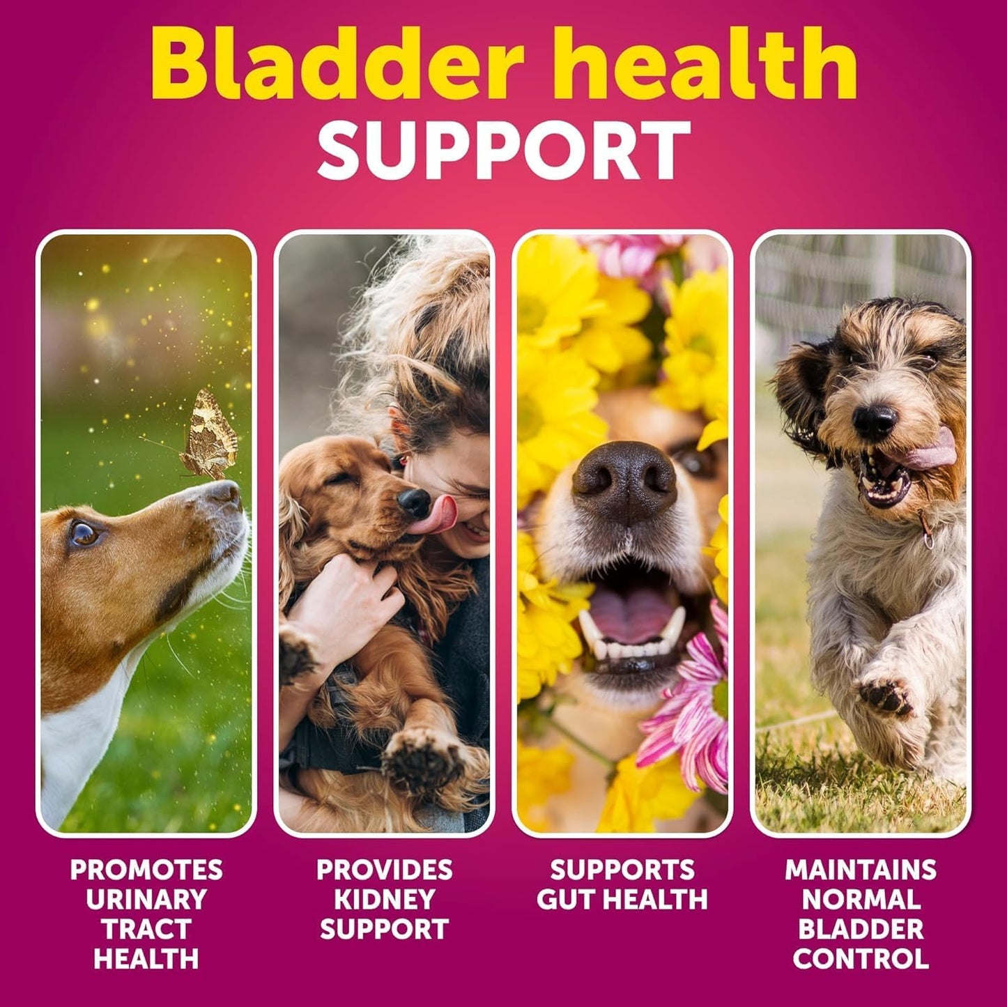 Cranberry Dog UTI Supplement - Bladder Control & Incontinence Pill - Treats Urinary Tract Infections, Bladder Stones - 70 Soft Chews for Kidney Support