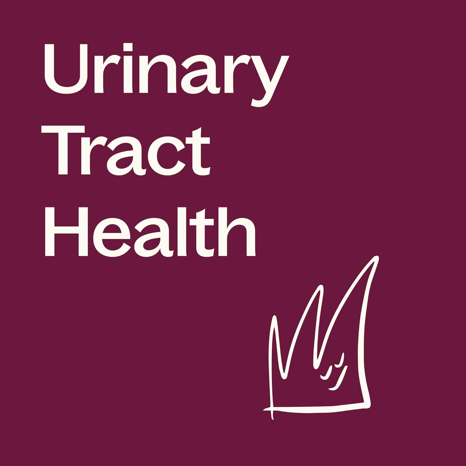 Cranberry Extract Capsules with Vitamin C for Urinary Tract Health, Antioxidant-Rich Herbal Supplement, 120 Vegetarian Capsules - Made in USA, 4 Month Supply