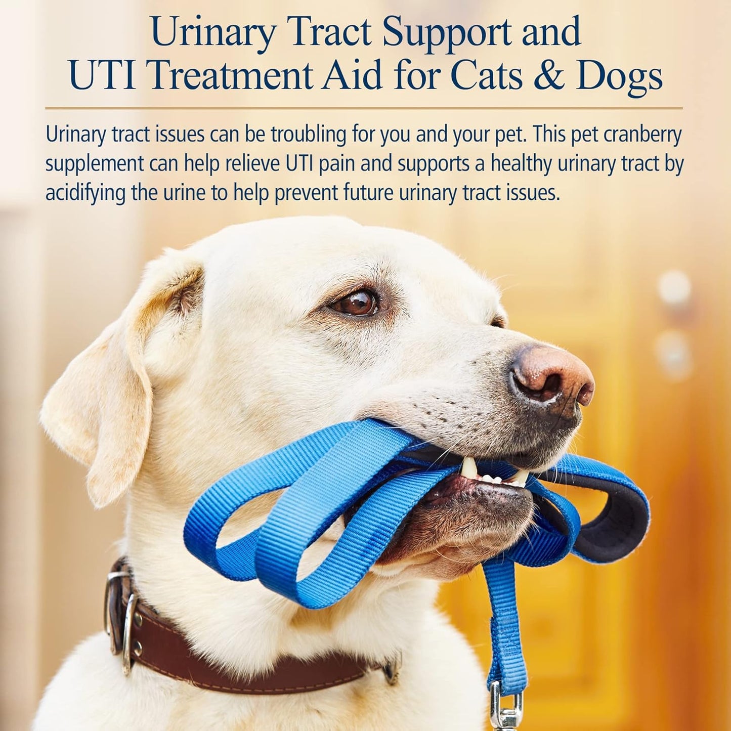 Cranberry Pills for Dogs & Cats - Urinary Tract Support - UTI Treatment - Pet Urinary Relief - 90 Capsules