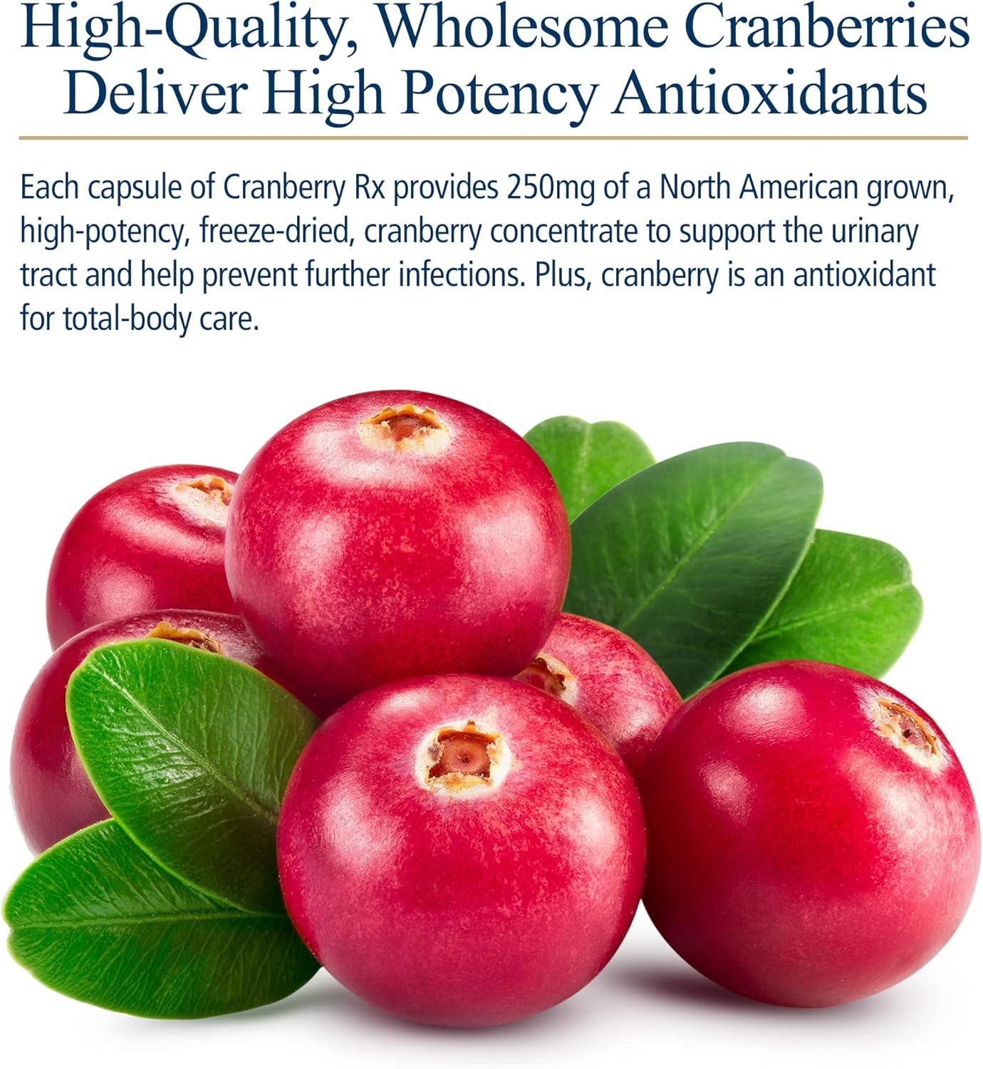 Cranberry Pills for Dogs & Cats - Urinary Tract Support - UTI Treatment - Pet Urinary Relief - 90 Capsules