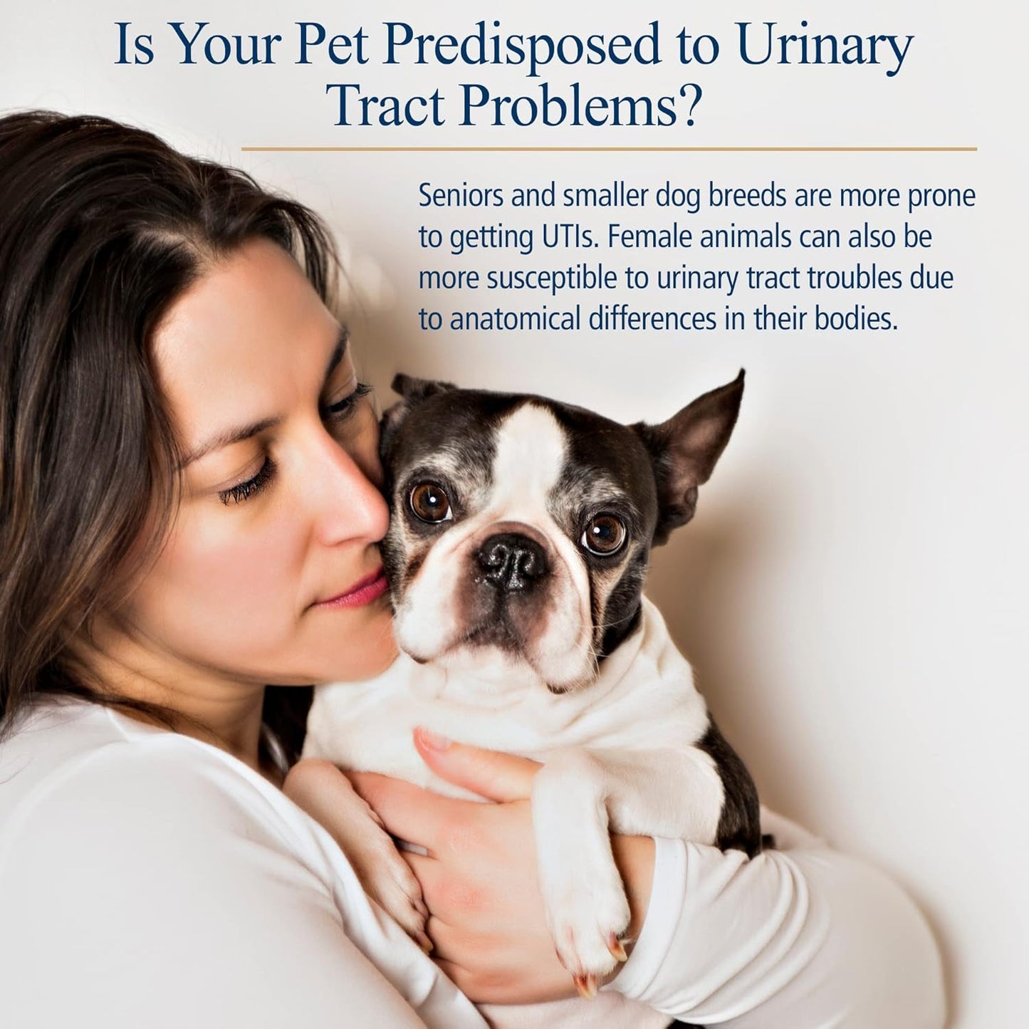 Cranberry Pills for Dogs & Cats - Urinary Tract Support - UTI Treatment - Pet Urinary Relief - 90 Capsules