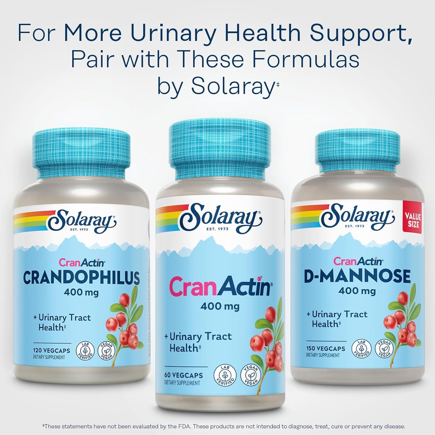 Cranberry Supplements for Bladder & Urinary Health - 400 mg with Vitamin C - Vegan, 60-Day Guarantee, 60 Servings