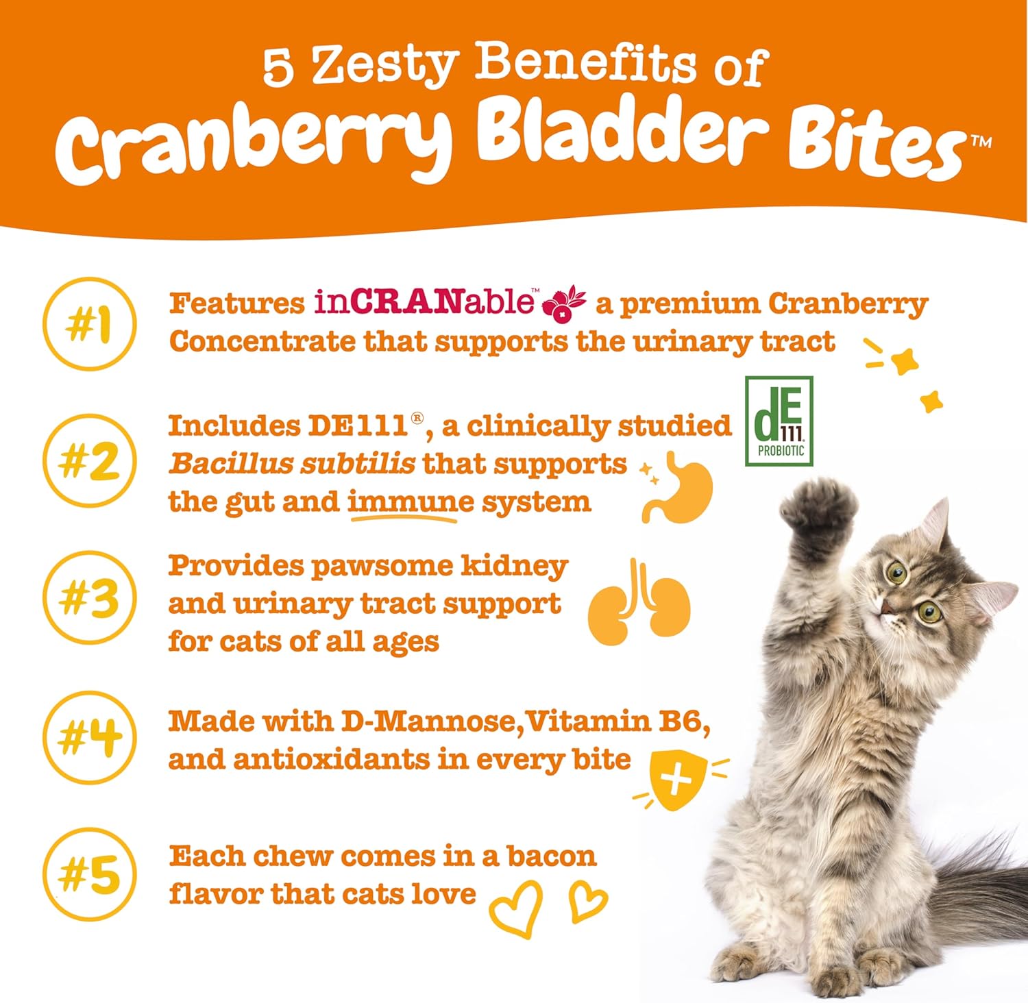 Cranberry Urinary Tract Bites for Cats - Supports Kidney & Urinary Health - Soft Chews with D-Mannose, Vitamin B6, L-Arginine - Immune & Gut Support - Bacon Flavor - 60 Count