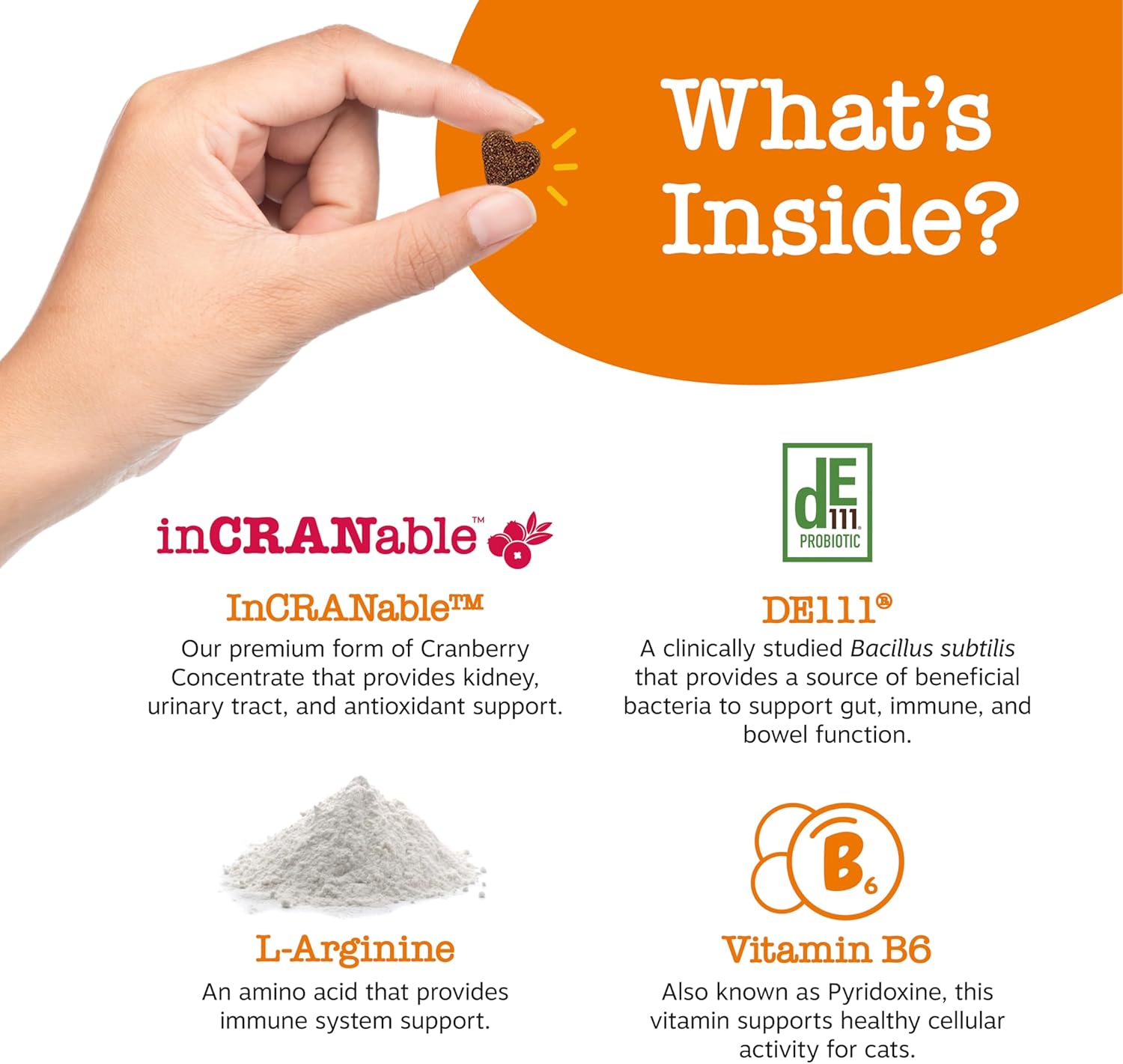 Cranberry Urinary Tract Bites for Cats - Supports Kidney & Urinary Health - Soft Chews with D-Mannose, Vitamin B6, L-Arginine - Immune & Gut Support - Bacon Flavor - 60 Count