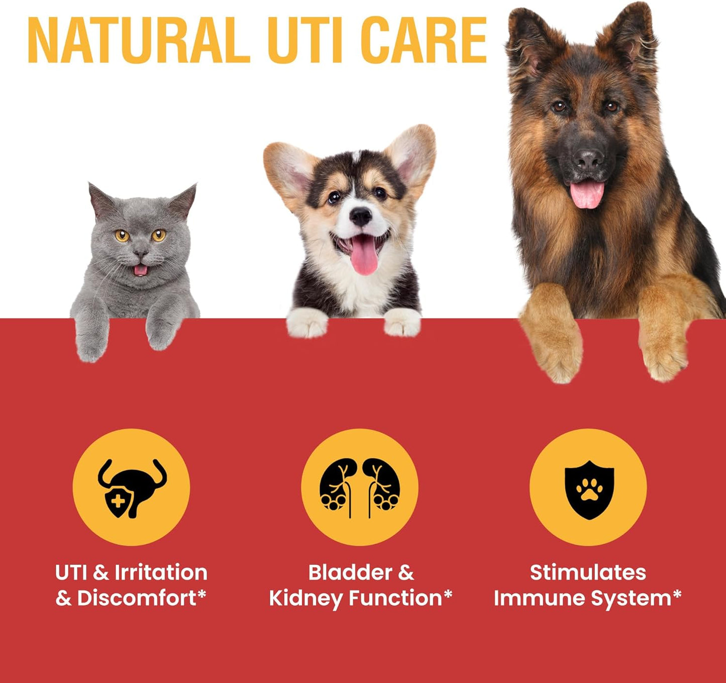 Cranberry UTI Supplement for Cats and Dogs - Special Breed Urinary Tract Infection Treatment, Kidney and Bladder Support - 2 oz