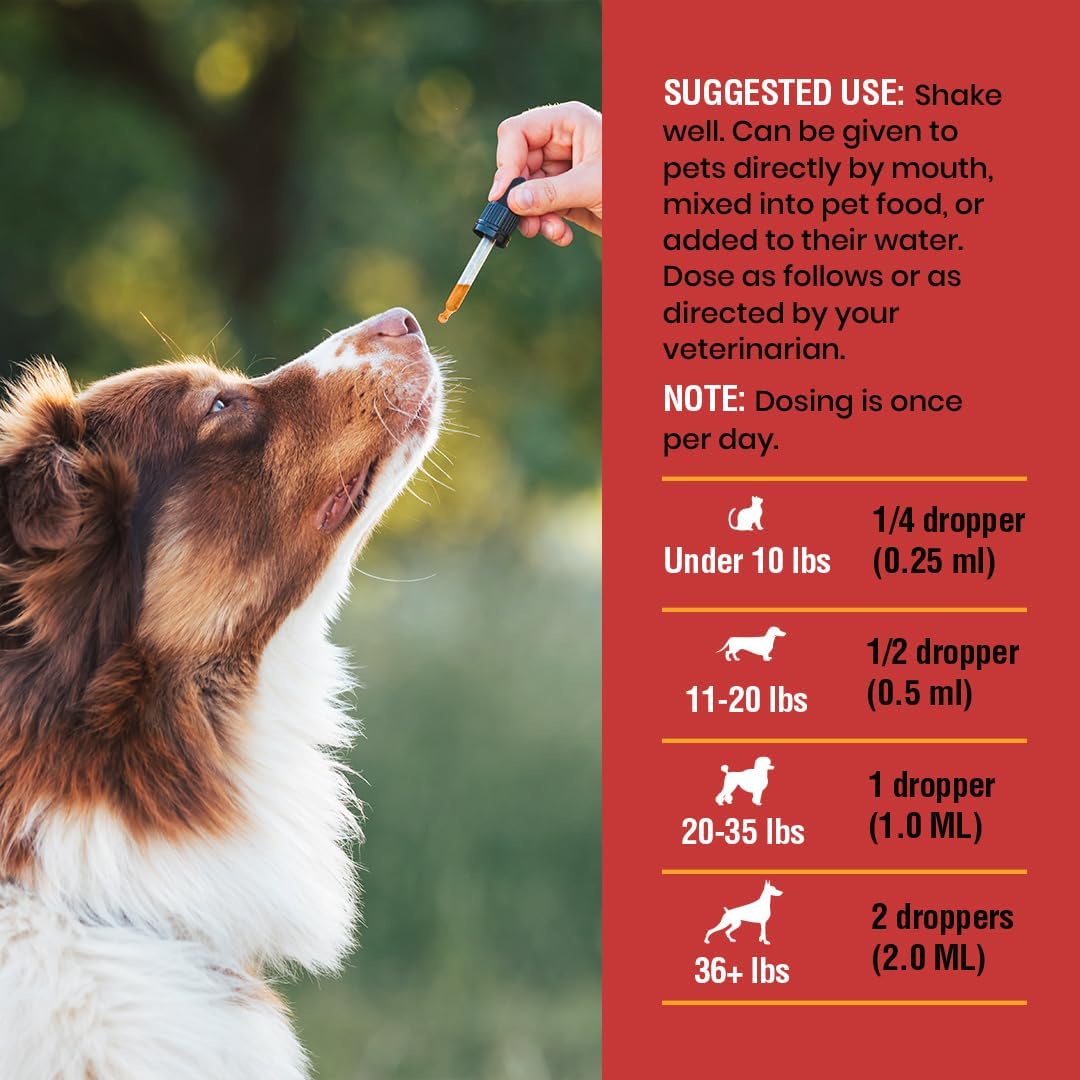 Cranberry UTI Supplement for Cats and Dogs - Special Breed Urinary Tract Infection Treatment, Kidney and Bladder Support Formula, 4 oz