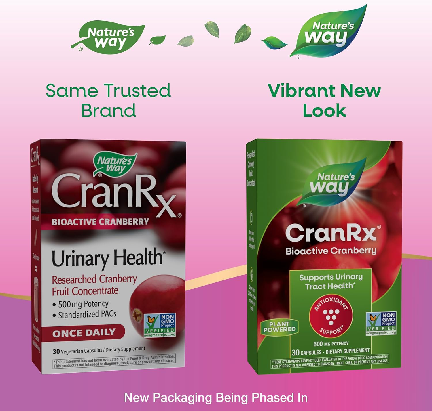 CranRx® BioActive Cranberry 500mg Capsules for Urinary Tract & Antioxidant Support - Vegan & Non-GMO - 30 Count