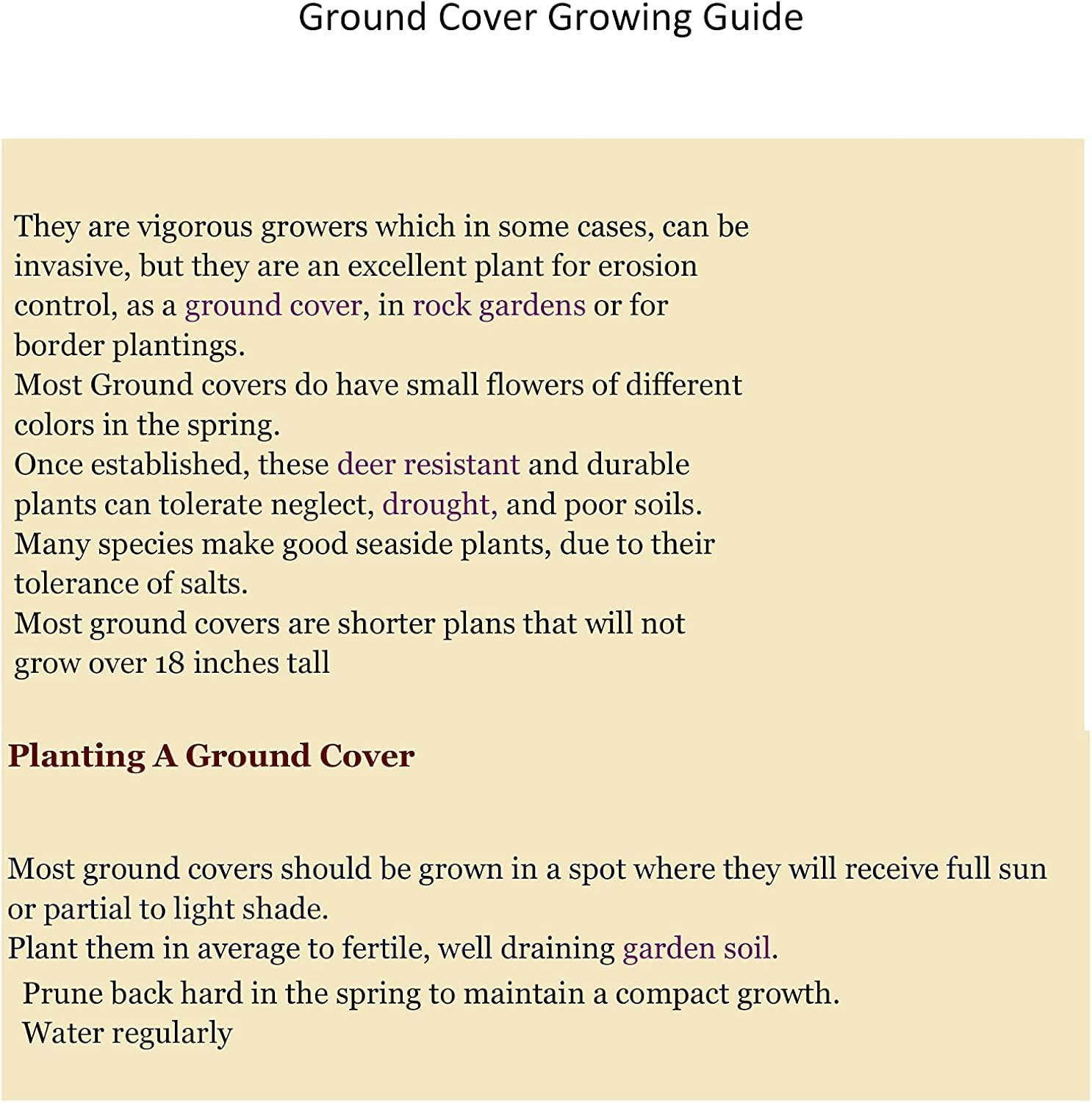 Creeping St. John's Wort 'BRIGADOON' Hypericum Calycinum in 4" Pots - Set of 2 from Daylily Nursery