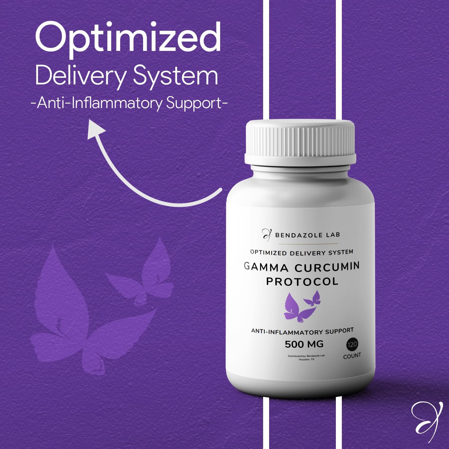 Curcumin Protocol with Vitamin E & Black Pepper Extract - Antioxidant & Immune Support, 120 Capsules, Enhanced Delivery System