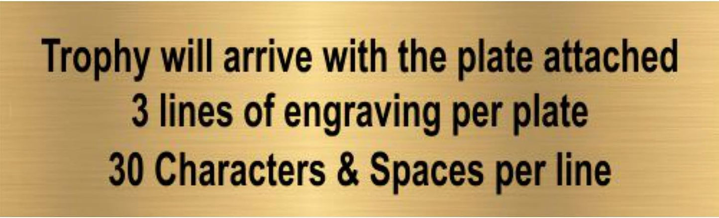 Customizable 14 Inch Tall Football Sport Motion All Star Column Trophy - Engraved Gridiron Award - Decade Awards