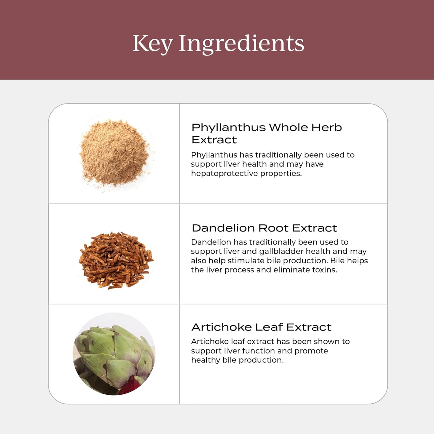 CYMBIOTIKA Liver Support Supplement - Vitamins & Herbs for Health, Cleanse, Repair - Boosts Metabolism, Digestion - Gluten Free, Vegan, Plant Based, Non GMO - 84 Capsules, 28 Servings