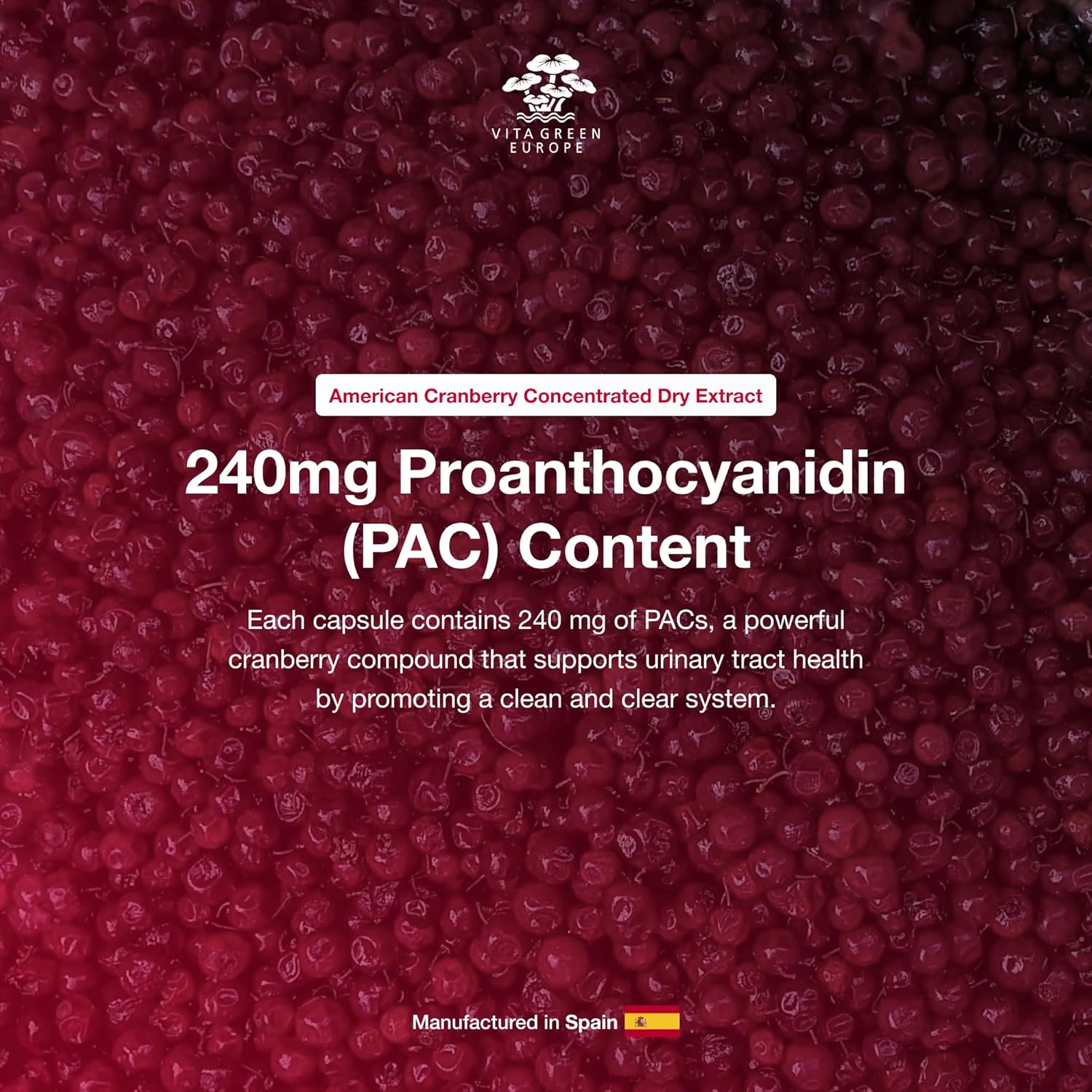 Cysticlean Cranberry PAC Supplement - 240mg PAC, Sugar-Free - UTI Support - Best Cranberry Pills for Cystitis & IC Relief