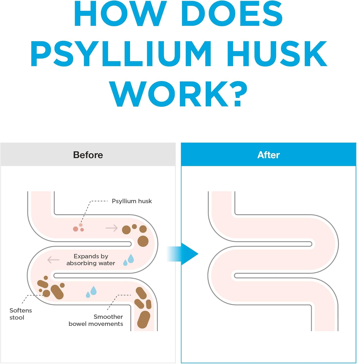 Daejang Sarang Original Psyllium Husk Fiber Sticks - 30 Count, Digestive Health Supplement for Constipation and Bloating Relief, Gut Fiber Support