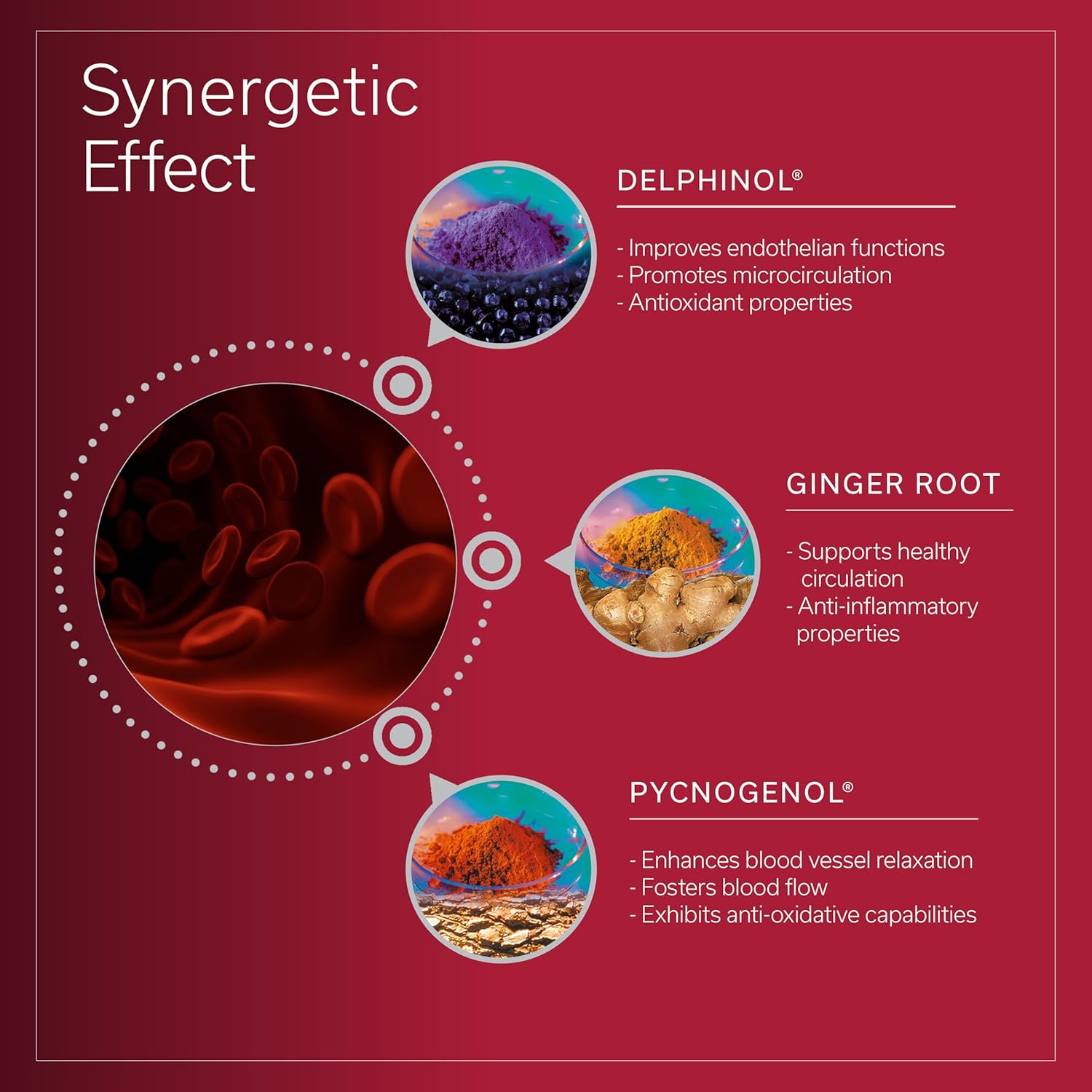 Daily Circulation Supplement for Inflammatory Response with Maqui Berry & Pine Bark Extracts - Antioxidant & Blood Flow Support - 10 Day Supply