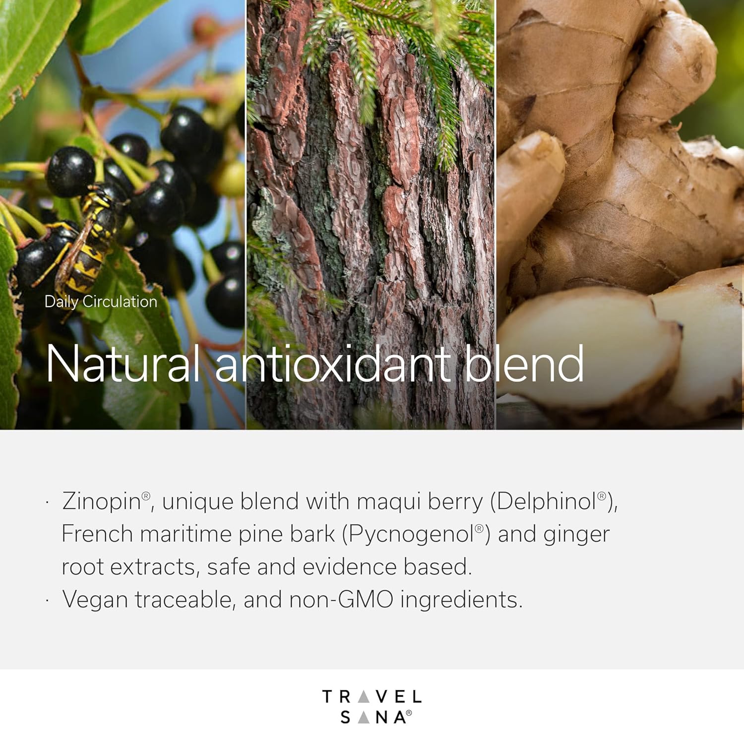 Daily Circulation Supplement for Inflammatory Response with Maqui Berry & Pine Bark Extracts - Antioxidant & Blood Flow Support - 10 Day Supply