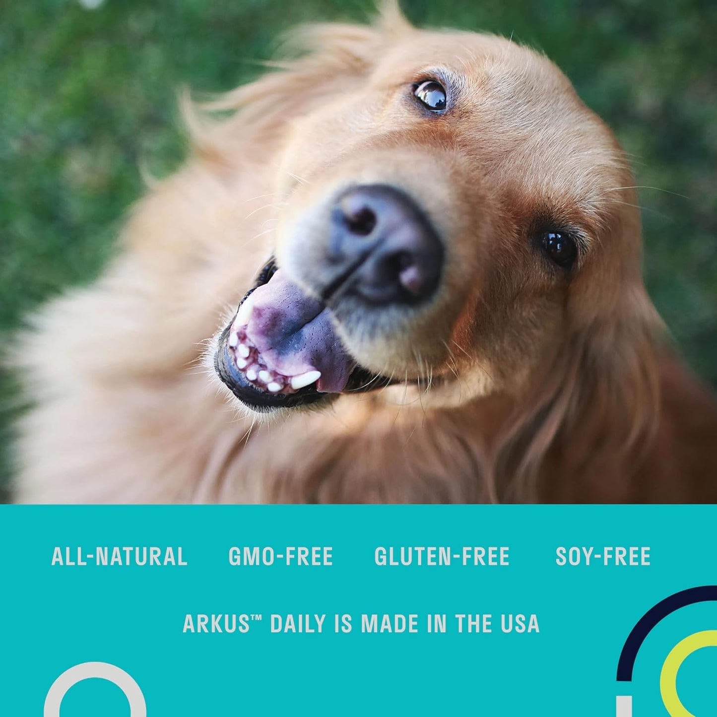 Daily Dog Probiotic with Natural Gut Microbes for Better Digestion and Immune Health