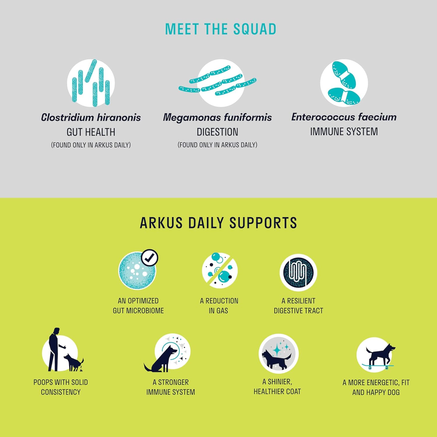 Daily Dog Probiotic with Natural Gut Microbes for Better Digestion and Immune Health