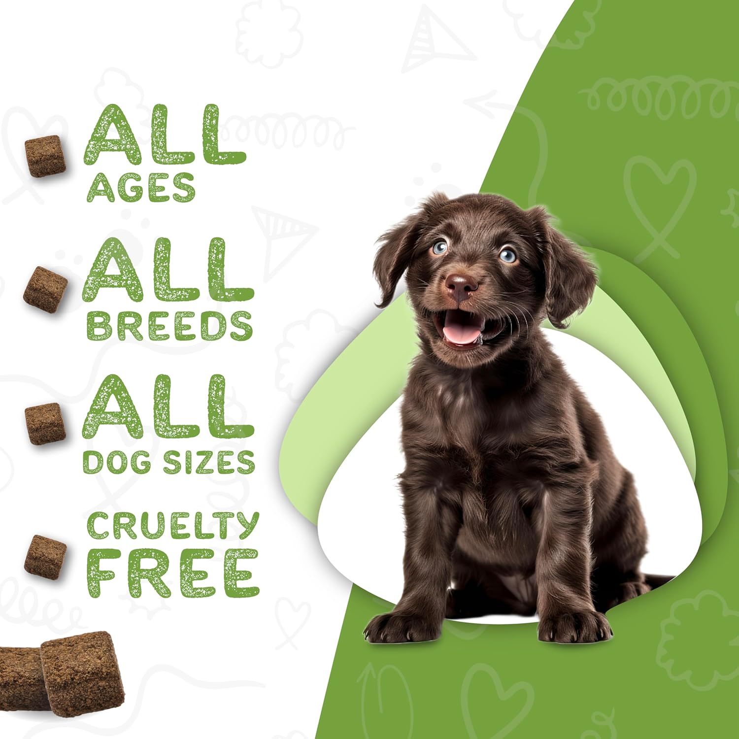 Daily Essentials Puppy Treats for Small or Large Breeds - Full-Spectrum Functional Supplements for Dogs - Includes Vitamins and Minerals - 60 Chews
