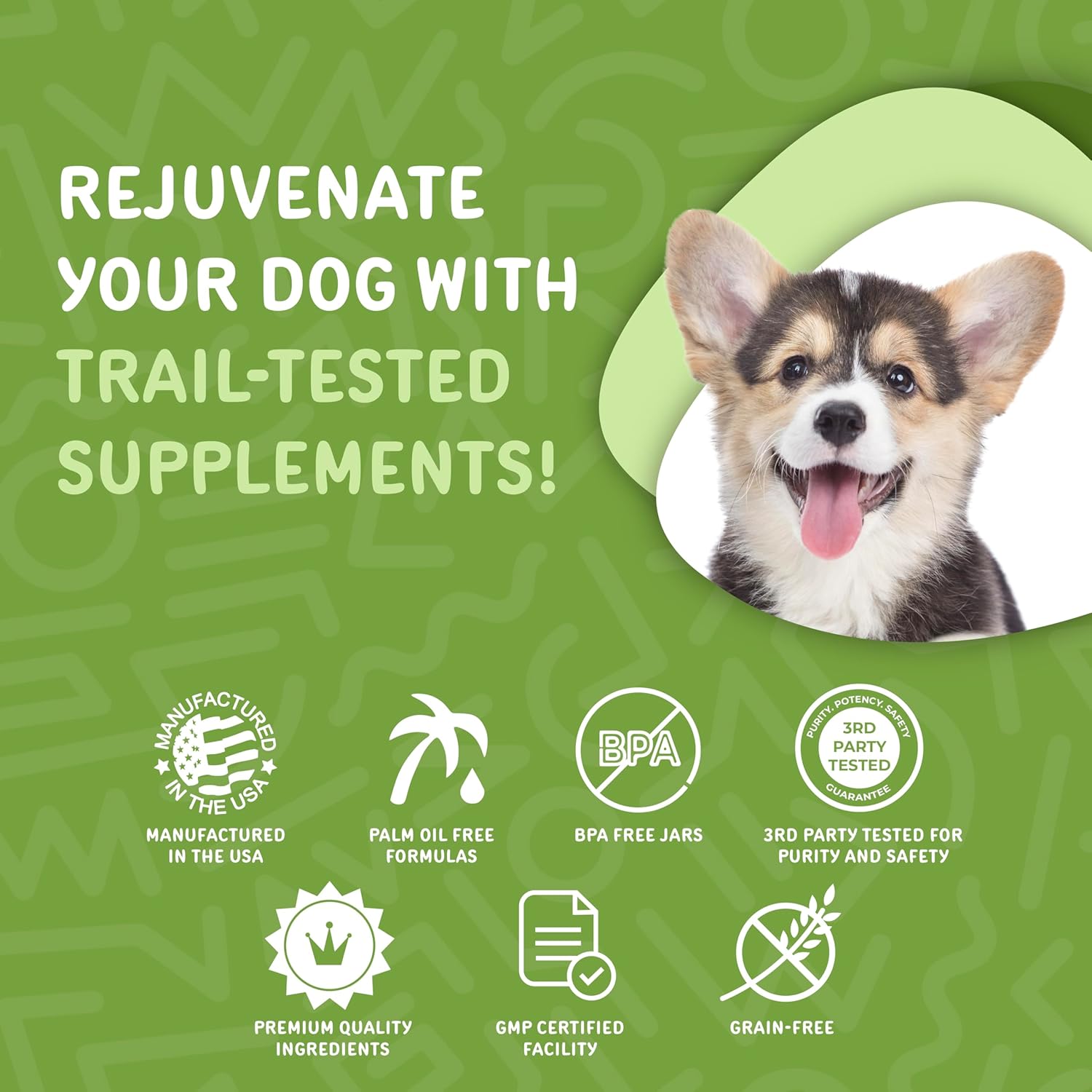 Daily Essentials Puppy Treats for Small or Large Breeds - Full-Spectrum Functional Supplements for Dogs - Includes Vitamins and Minerals - 60 Chews