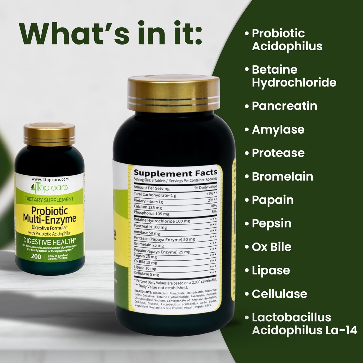 Daily Probiotic Multi-Enzyme Supplement with Acidophilus for Digestive Health - 200 Tablets for Men & Women - Support Weight Management & Gut Health