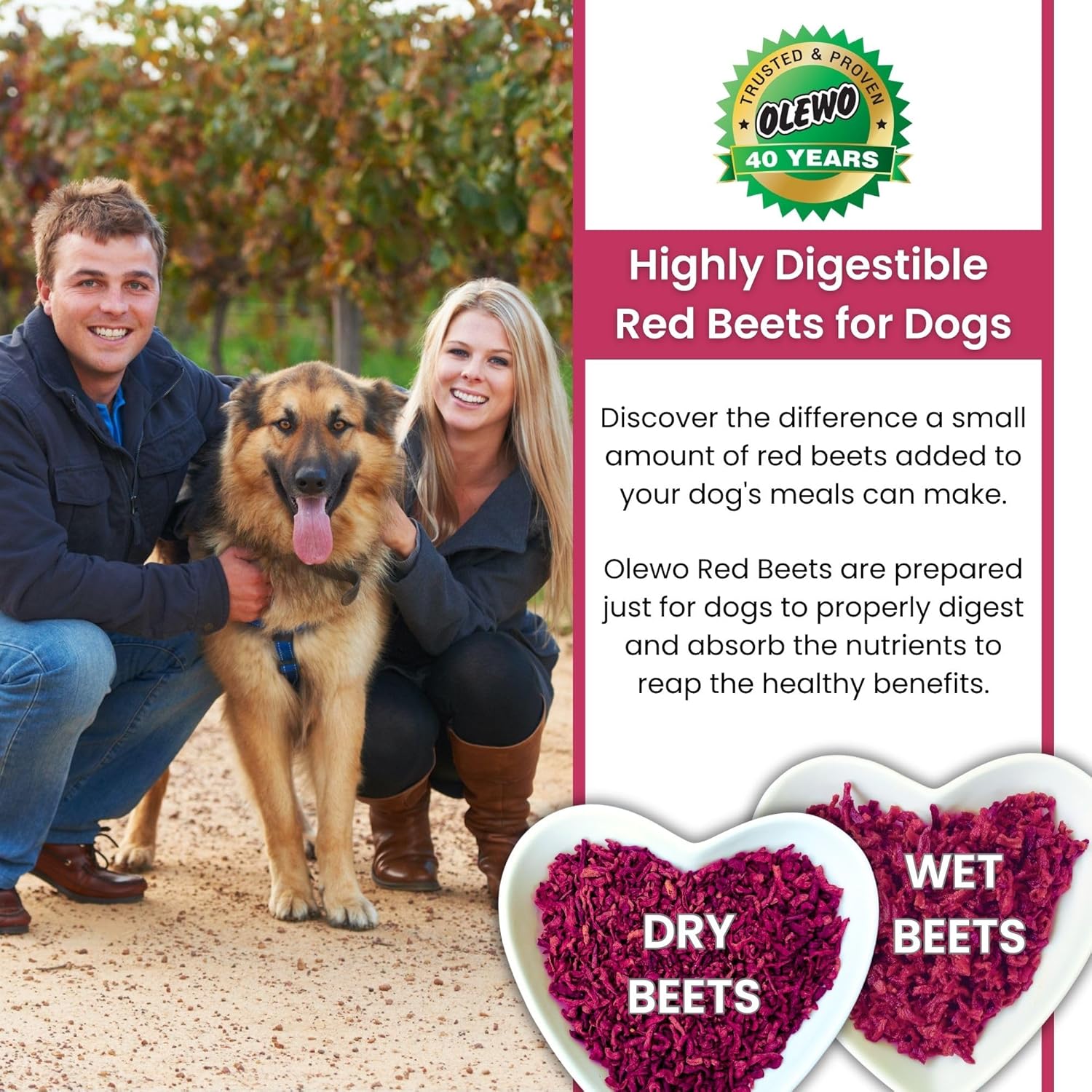 Dehydrated Whole Food Dog Multivitamin with Natural Anti-Itch Support and Fiber - Olewo Original Red Beets for Dogs, 1 lb
