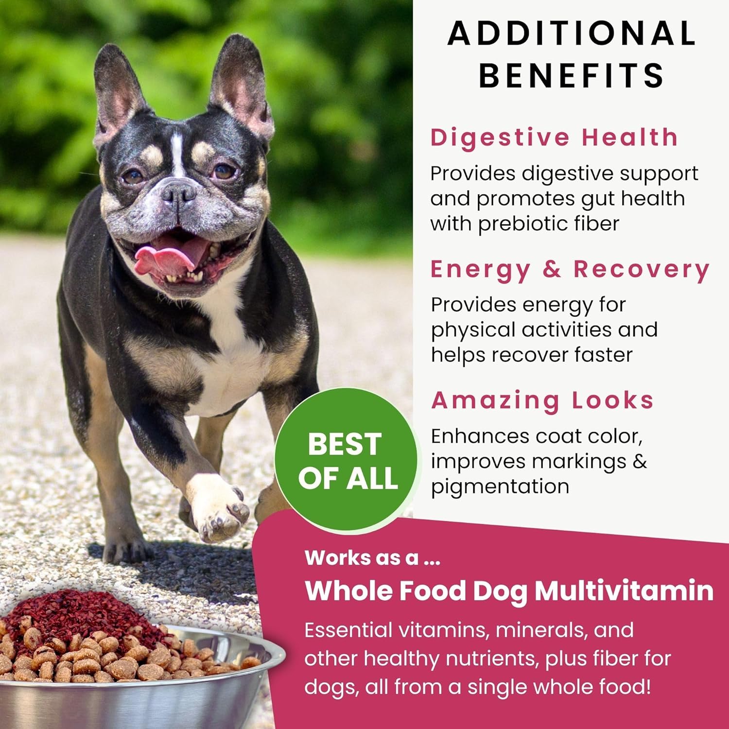 Dehydrated Whole Food Dog Multivitamin with Natural Anti-Itch Support and Fiber - Olewo Original Red Beets for Dogs, 1 lb