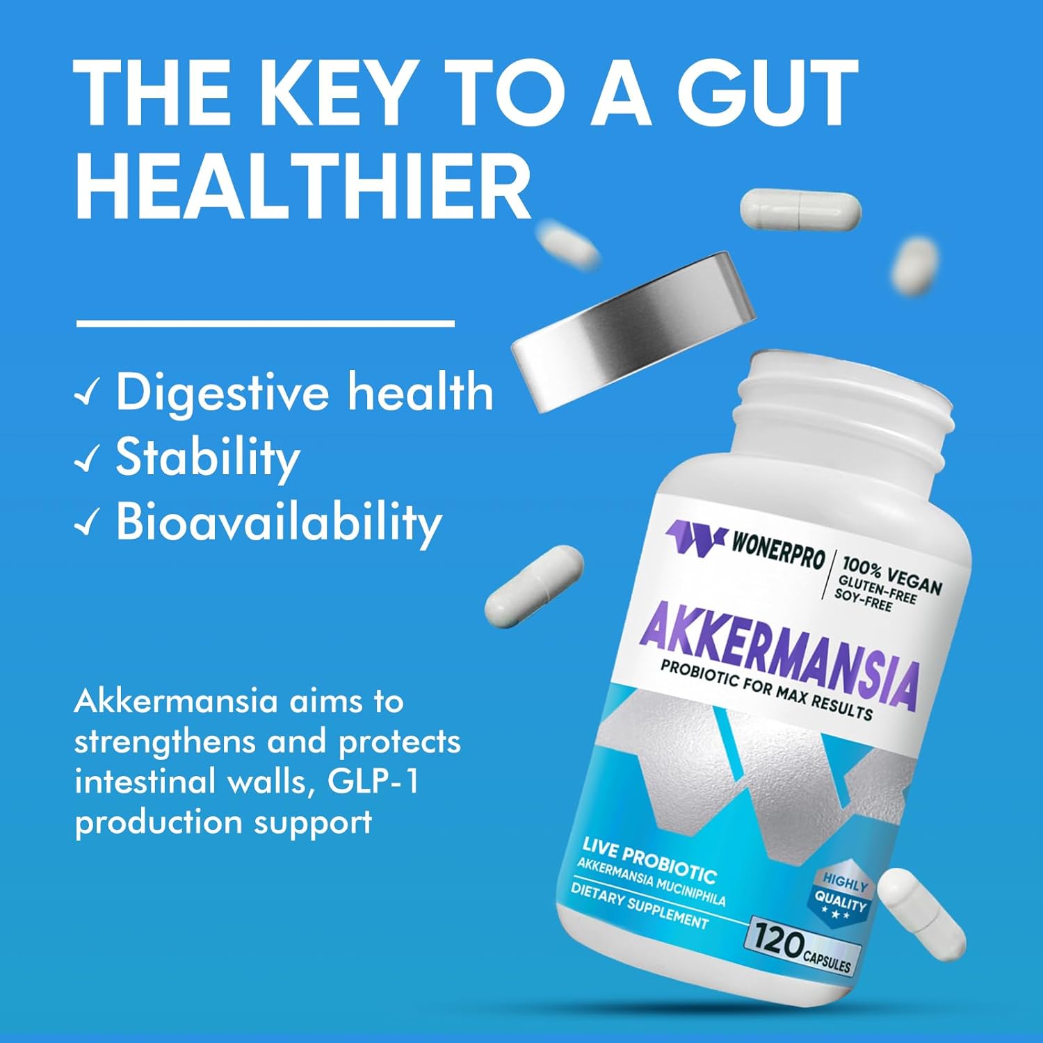 Delayed Release Akkermansia Probiotic - 300 Million AFUs, Enhances Gut Lining & Immunity, 120 Capsules