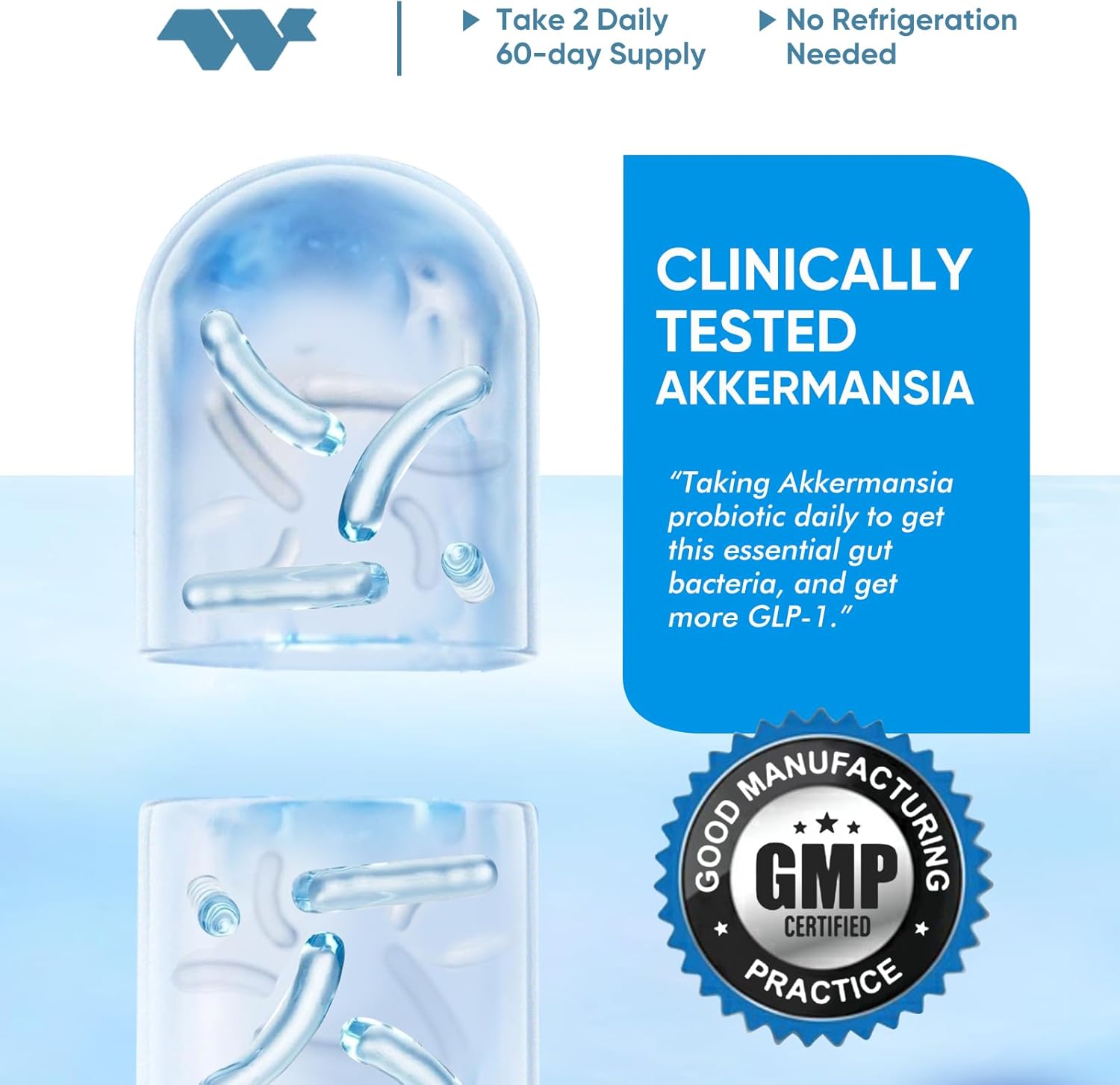 Delayed Release Akkermansia Probiotic - 300 Million AFUs, Enhances Gut Lining & Immunity, 120 Capsules