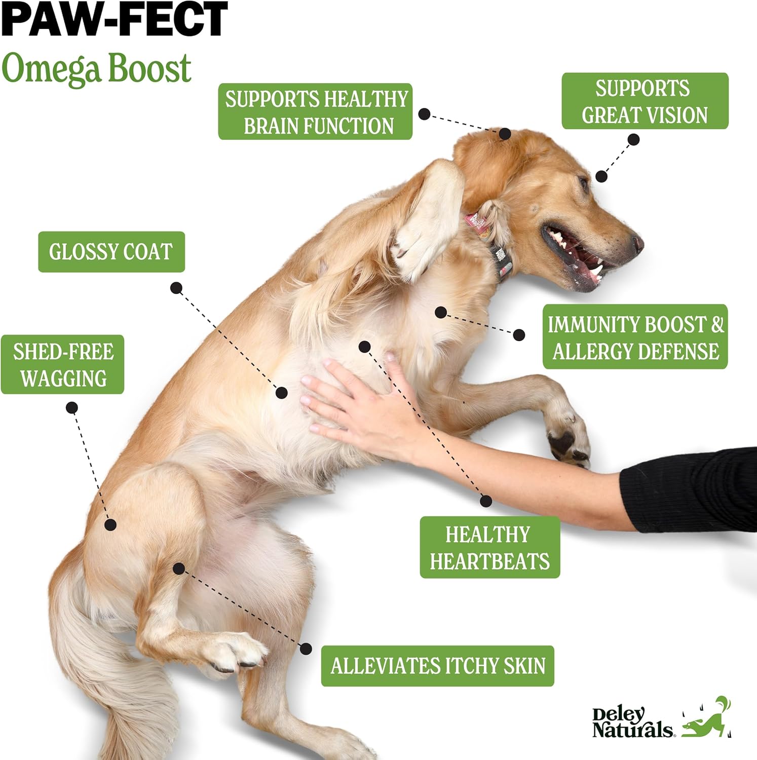 Deley Naturals Dog Fish Oil Icelandic - Omega 3 6 9 for Dogs Skin & Coat Care - Dog Itching Relief & Heart Health Support - Skin and Coat Supplements for Dogs 32Oz