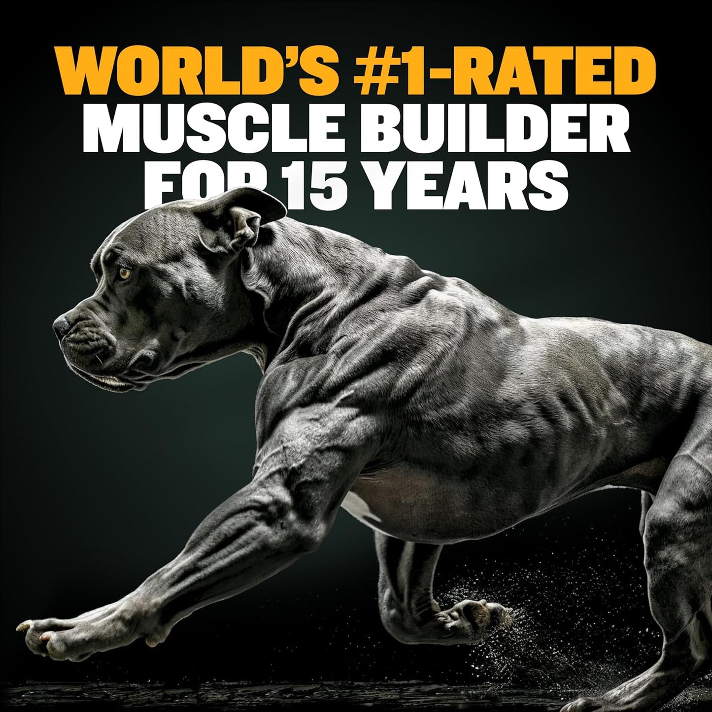 Delicious Bully Max Muscle Builder Soft Chews for Dogs - Training Supplements for Muscle Gain - Dog Food Topper for All Breeds & Ages